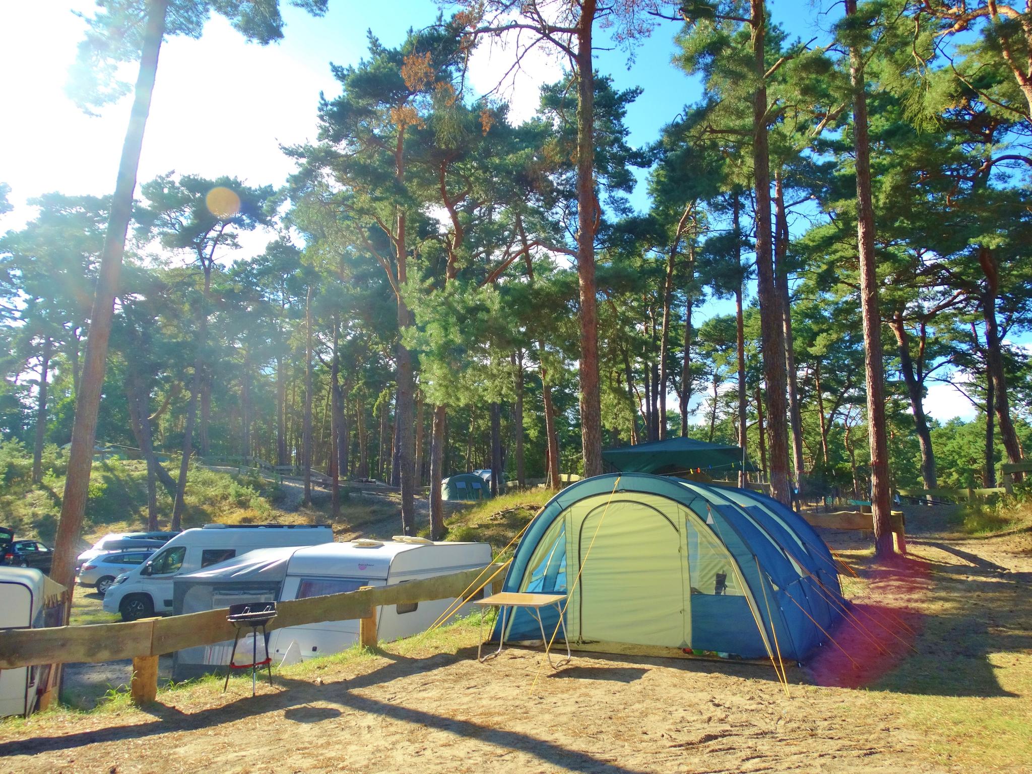 Zelt auf dem Campingplatz im Ostseebad Trassenheide