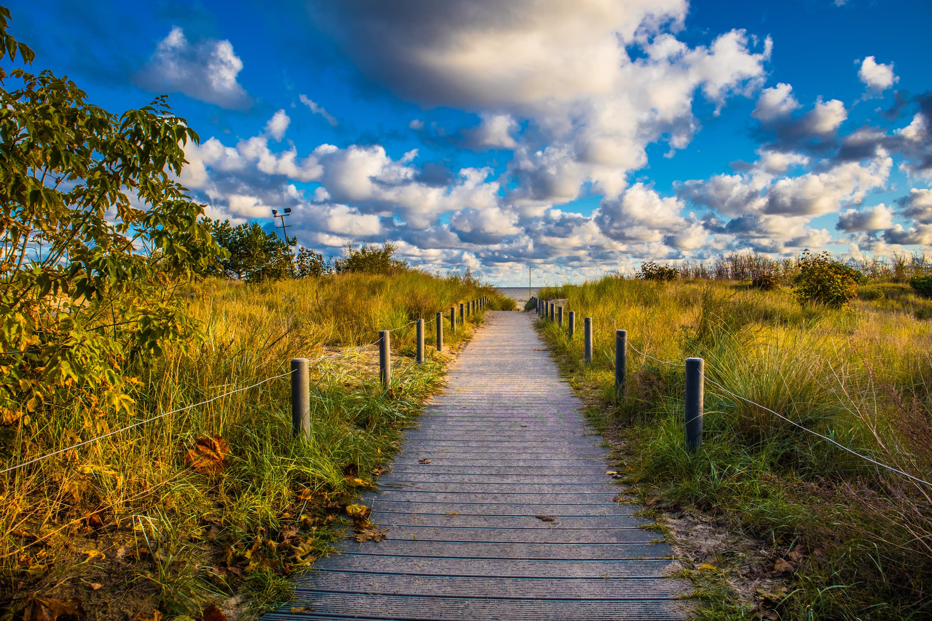 Strandaufgang mit buntem Laub, blauem Himmel und Wolken