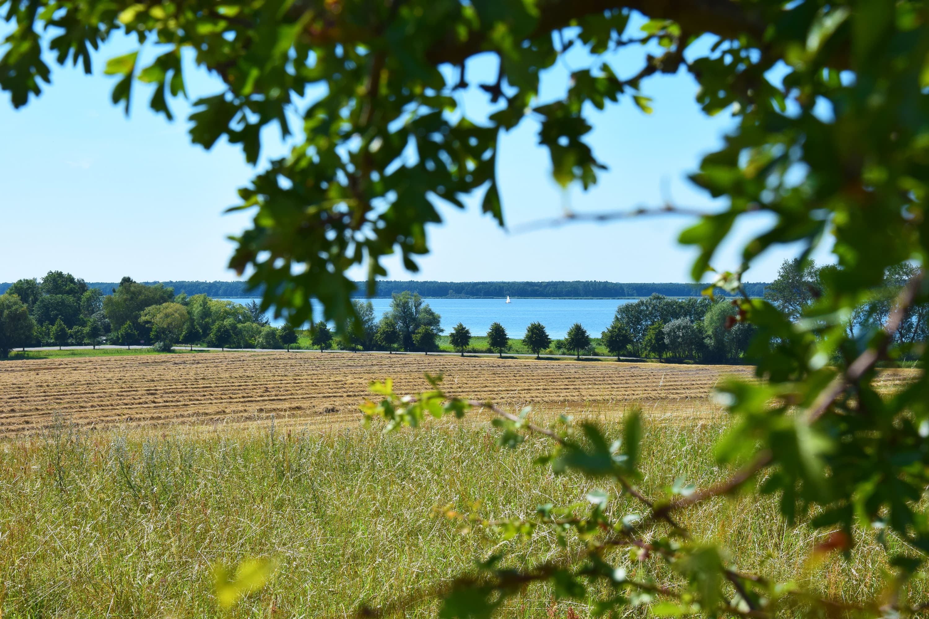 Blick auf den Peenestrom am Lieper Winkel