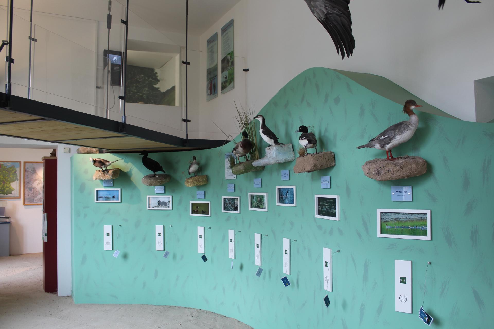Ausstellungsraum im Naturparkzentrum