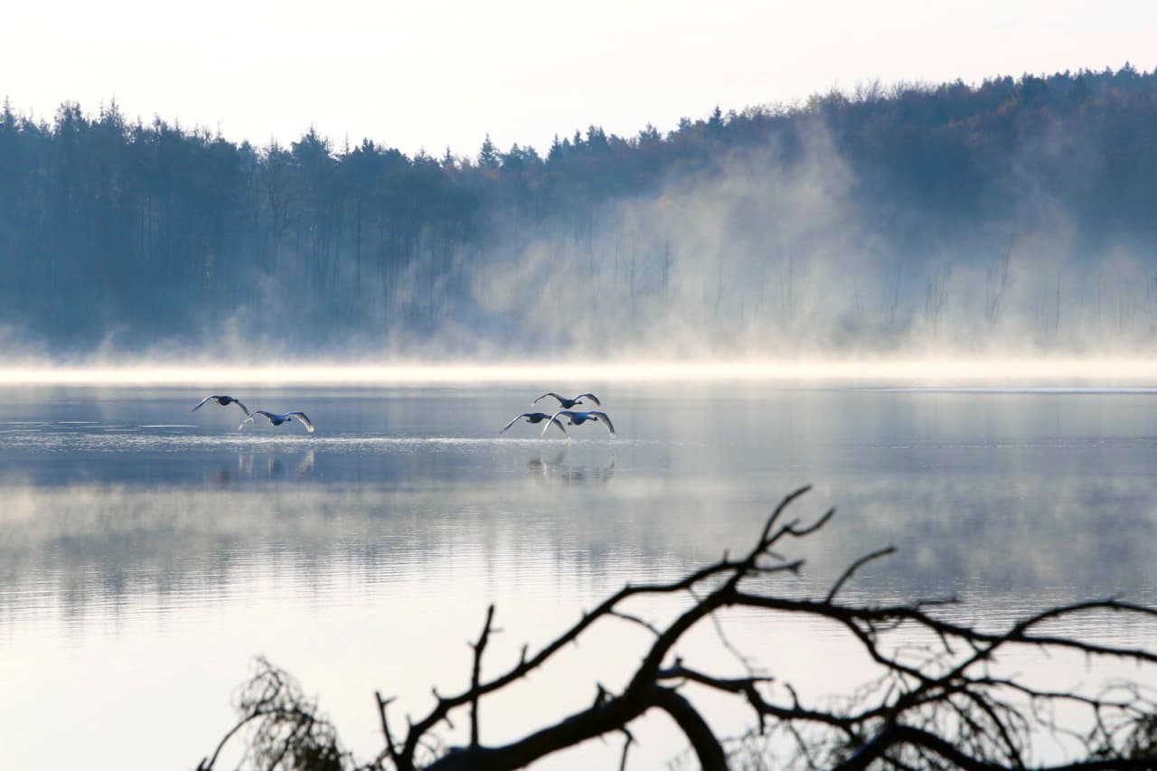 Blick auf einen See 