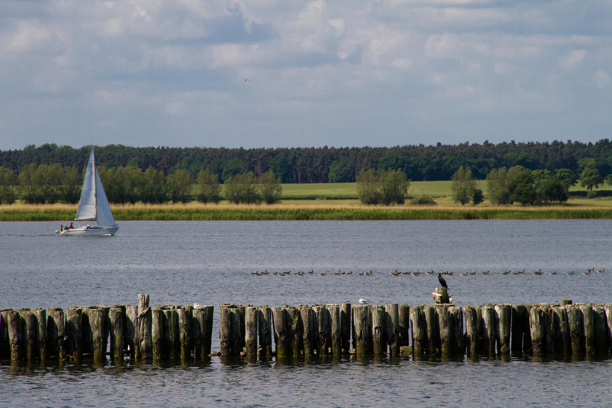 Das Bild zeigt einen Blick auf den Peenestrom vom Hafen in Peenemünde aus.