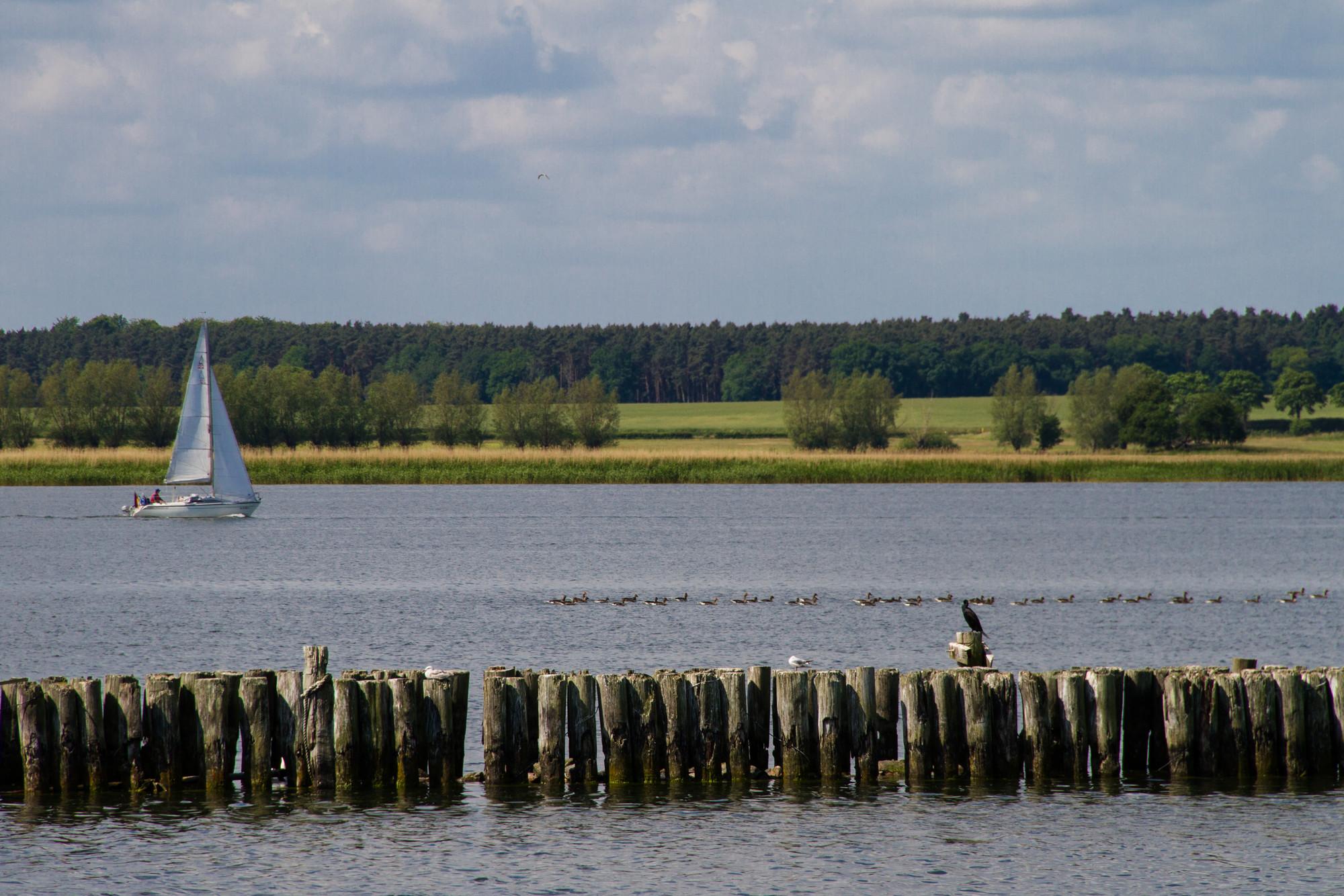 Das Bild zeigt einen Blick auf den Peenestrom vom Hafen in Peenemünde aus.