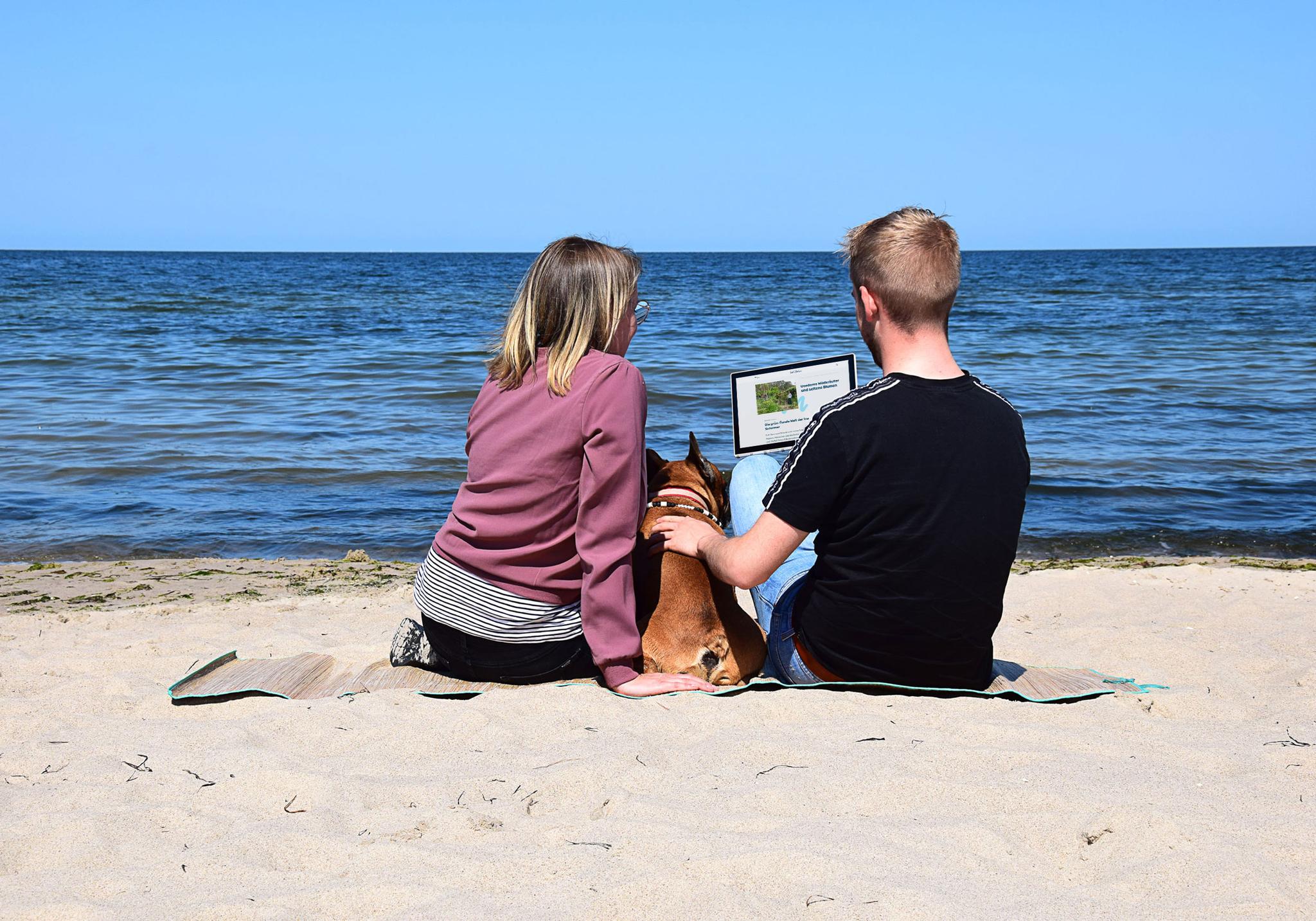 Pärchen sitzt mit Hund am Strand und liest auf einem Tablet. 