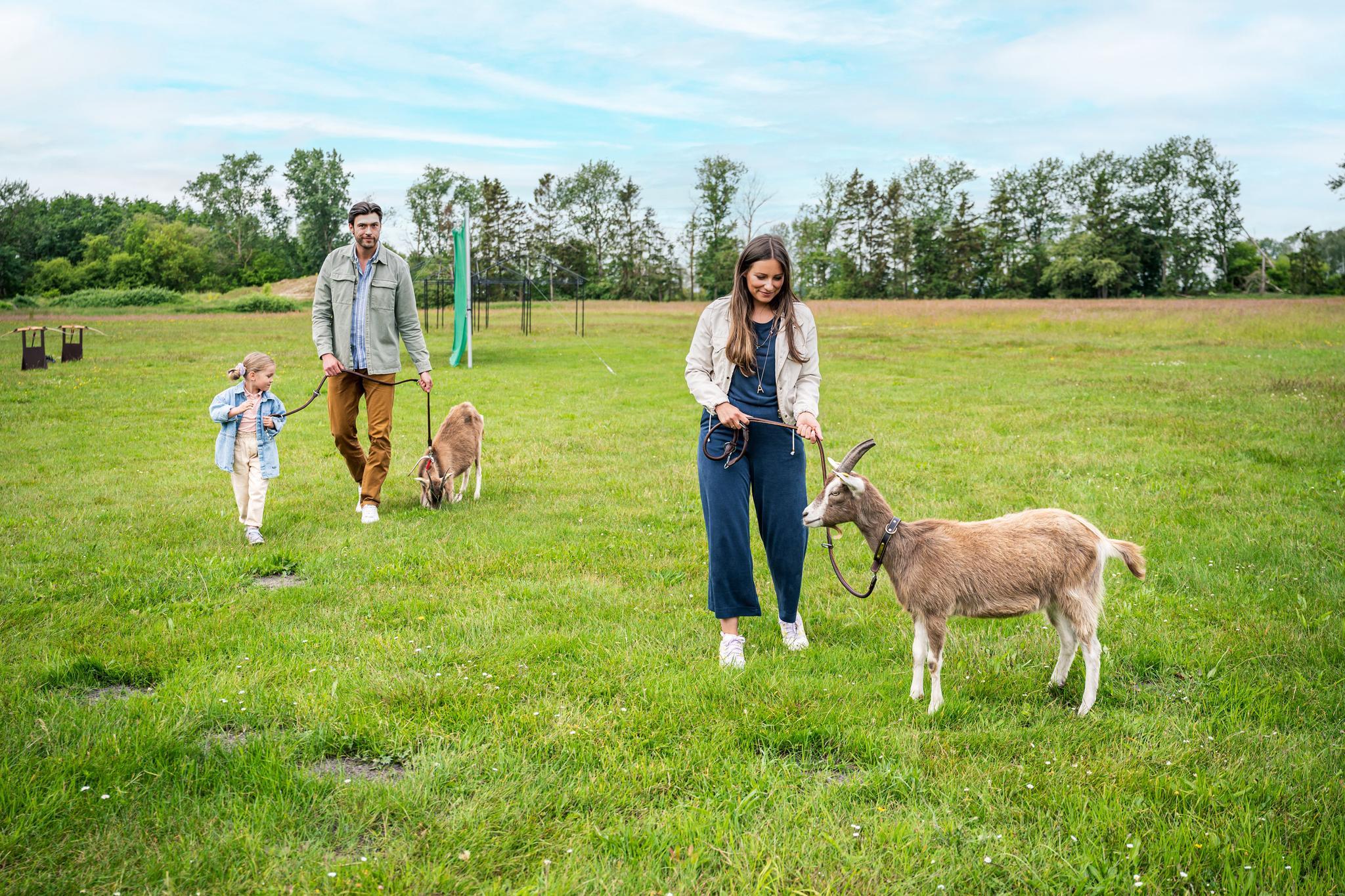 Familie wandert mit Ziegen auf einer Wiese