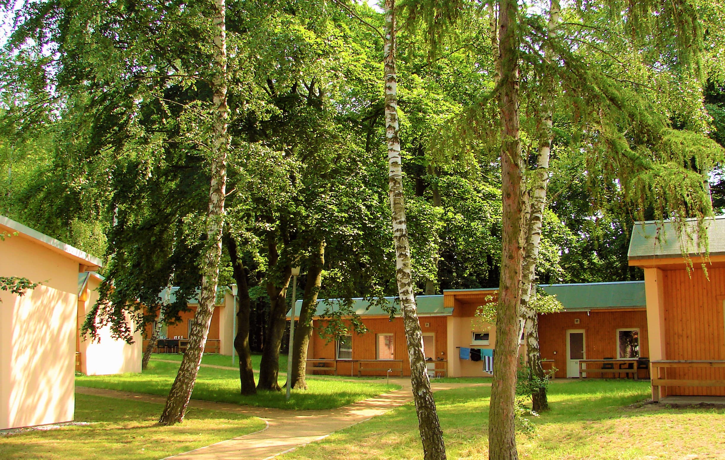 Bungalows im Wald