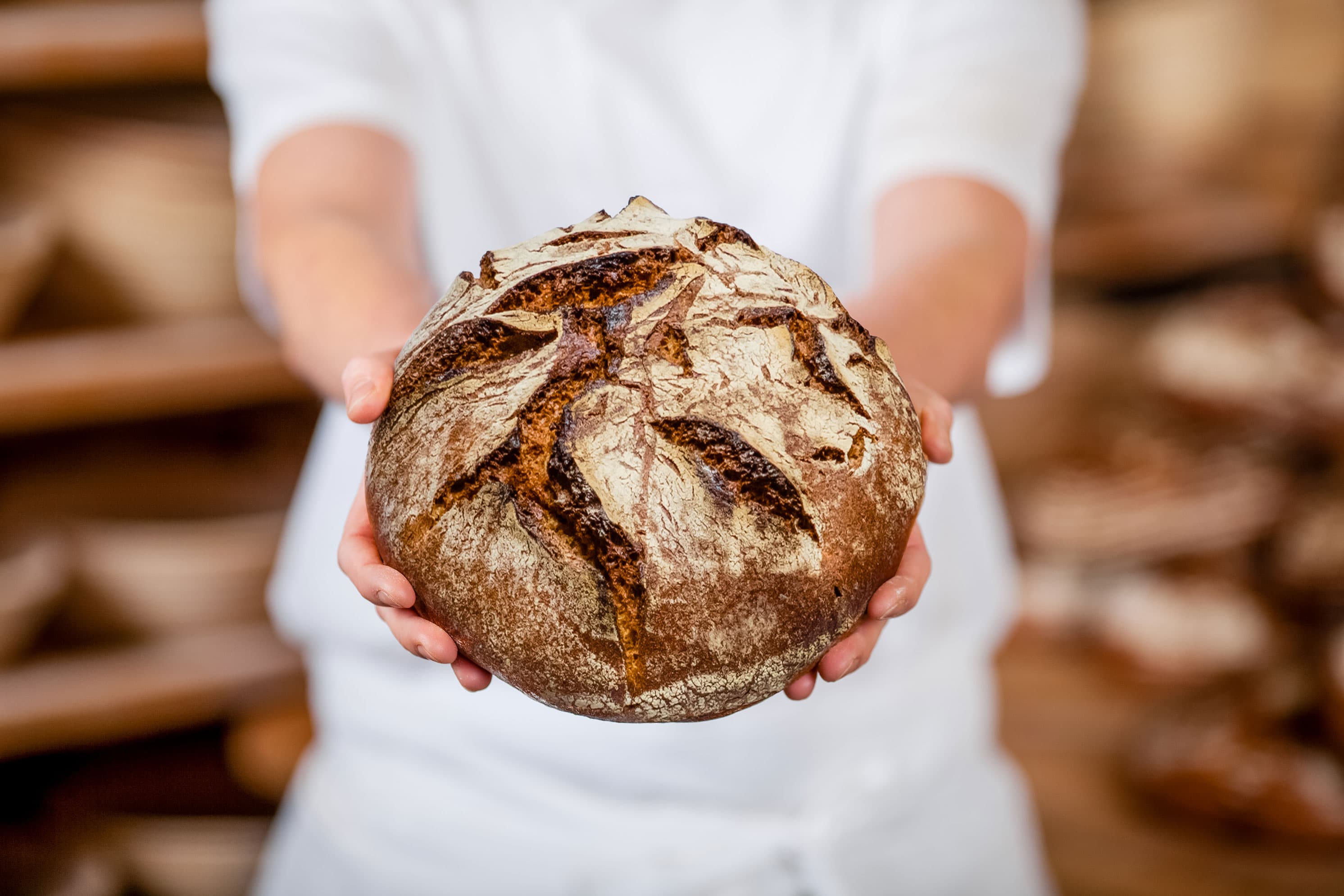 Person hält ein Rundbrot in der Hand