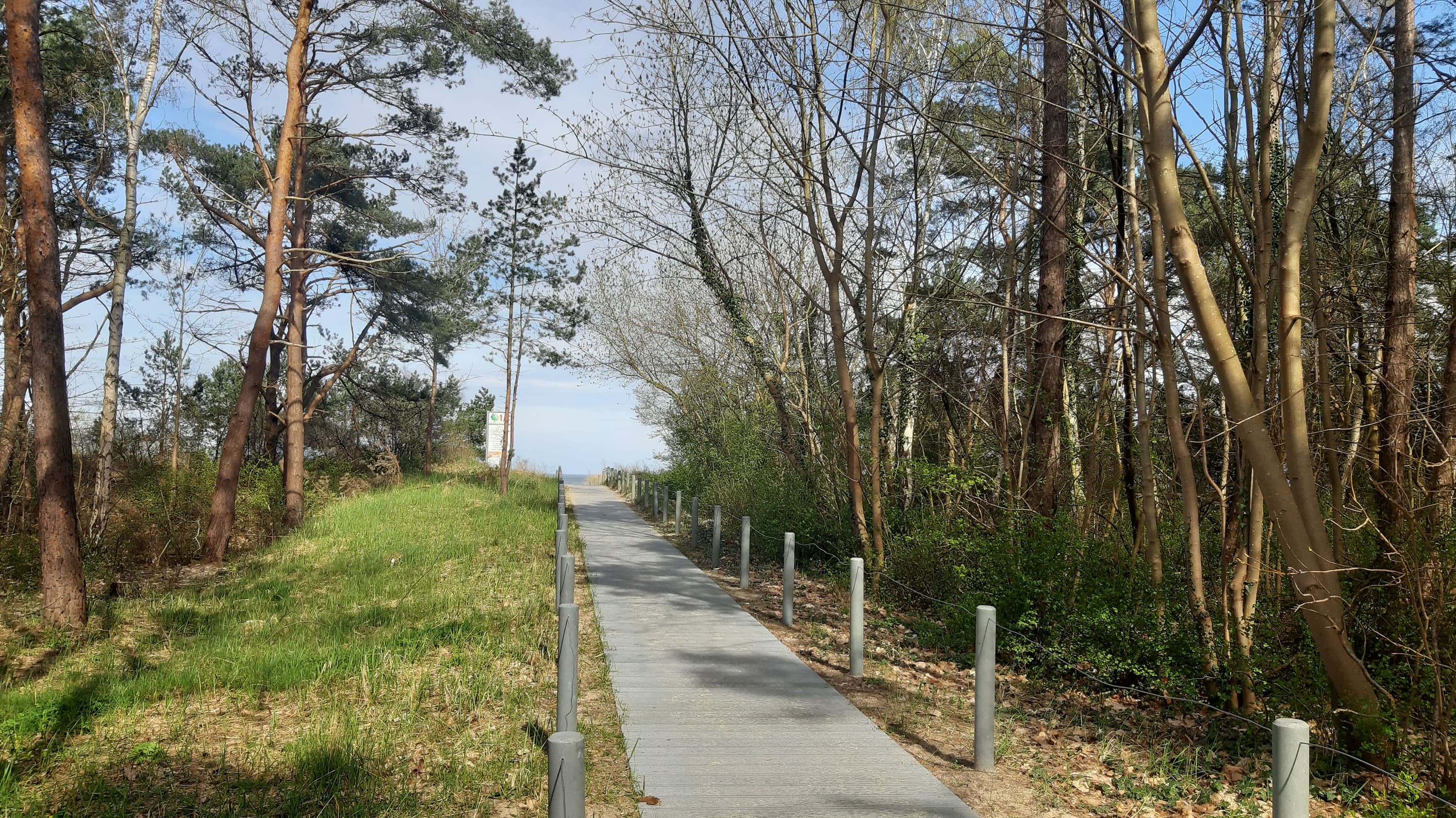 befestigter Holzweg, der durch den Wald zum Strand führt