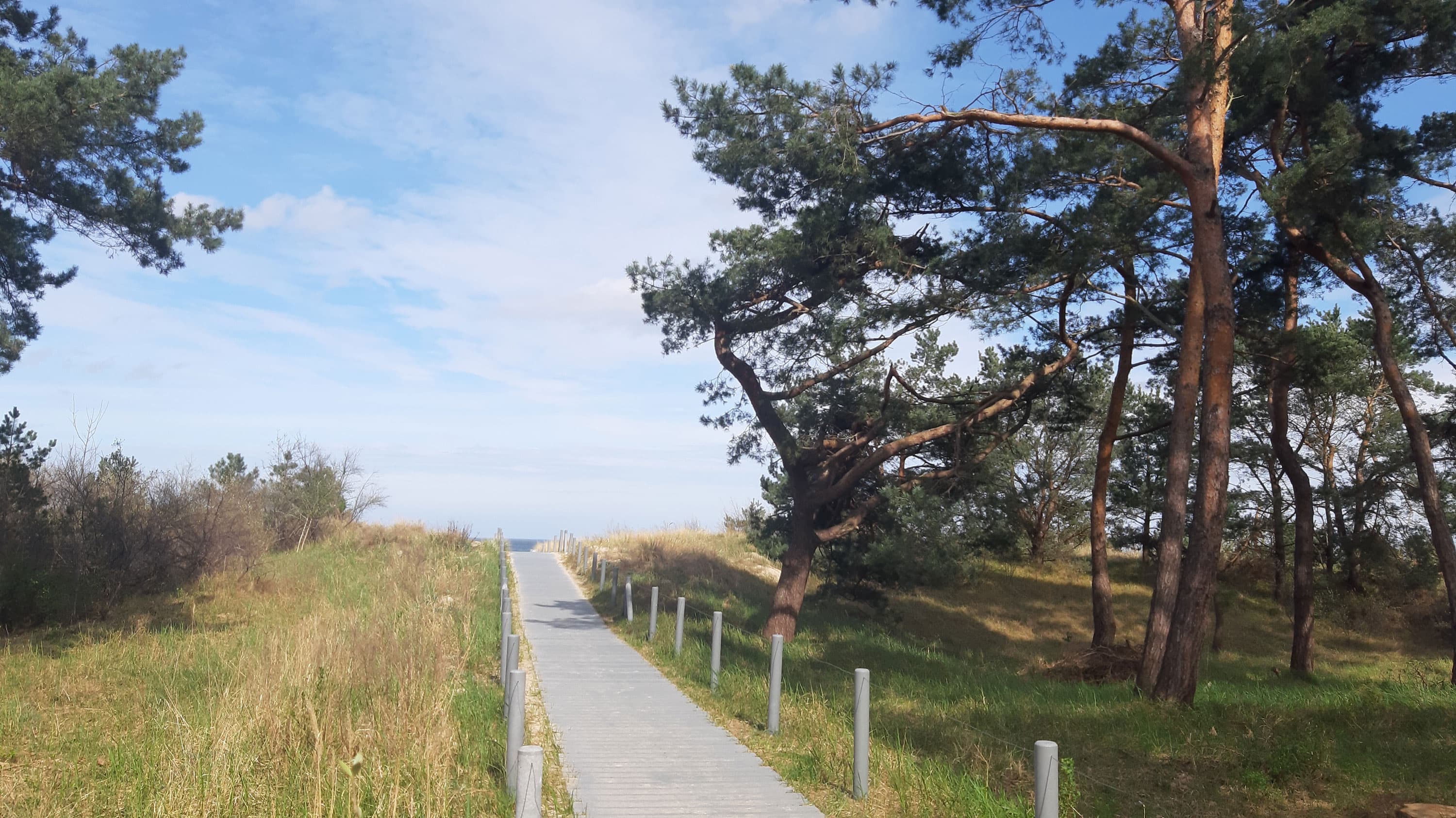 schmaler befestigter Holzweg, der zum Strand führt