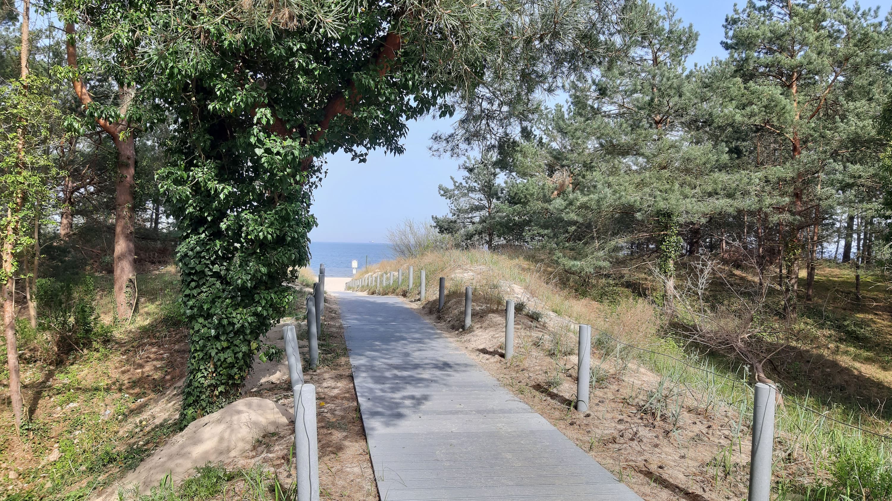 befestigter Holzweg, der zum Strand führt
