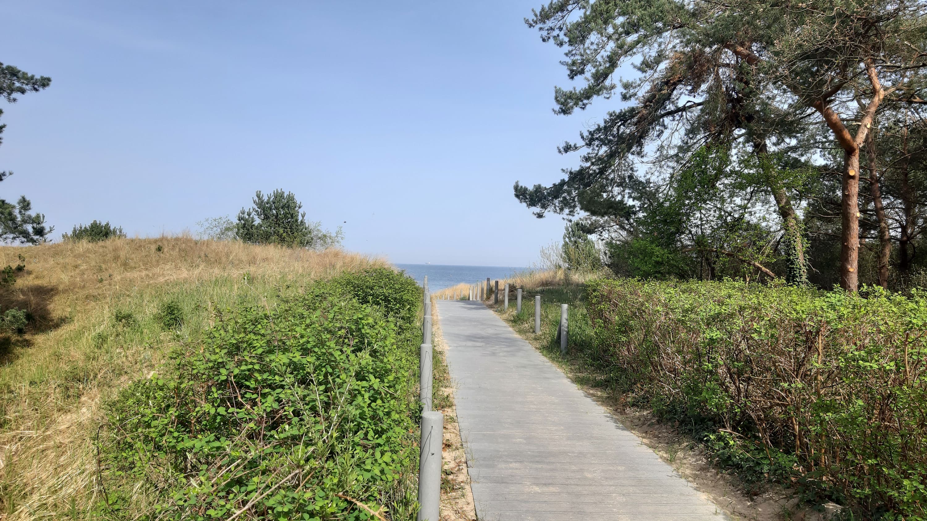 befestigter Holzweg, der zum Strand führt