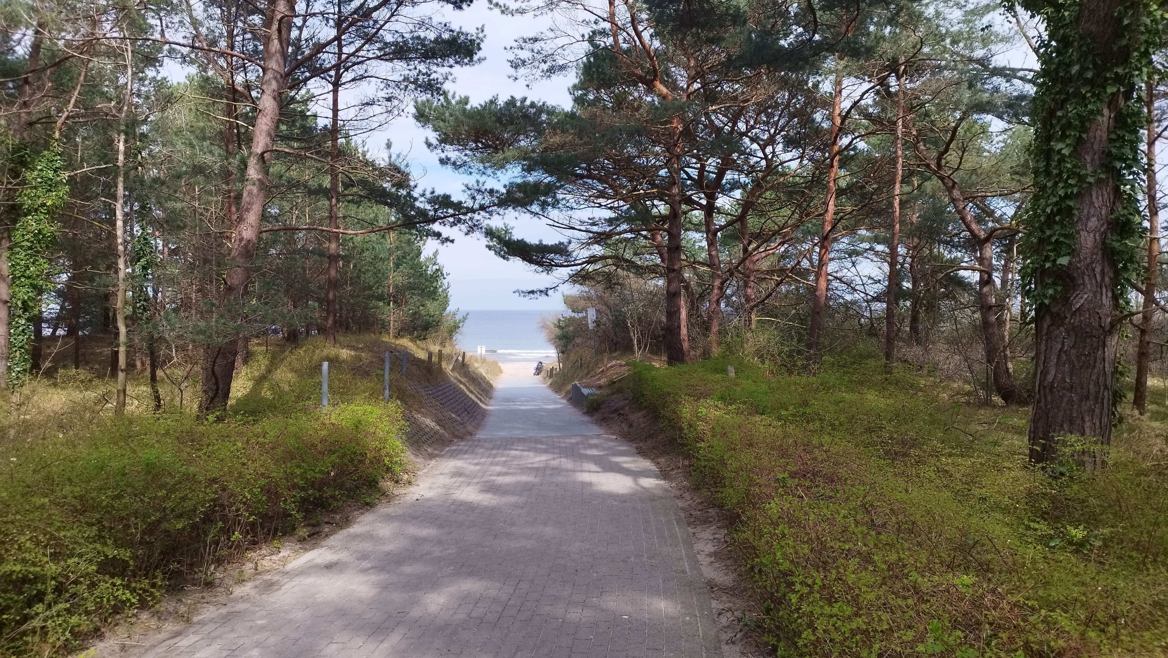 Gepflasterter Weg und darauffolgender Weg mit einer Teerdecke führt bis zum Strand