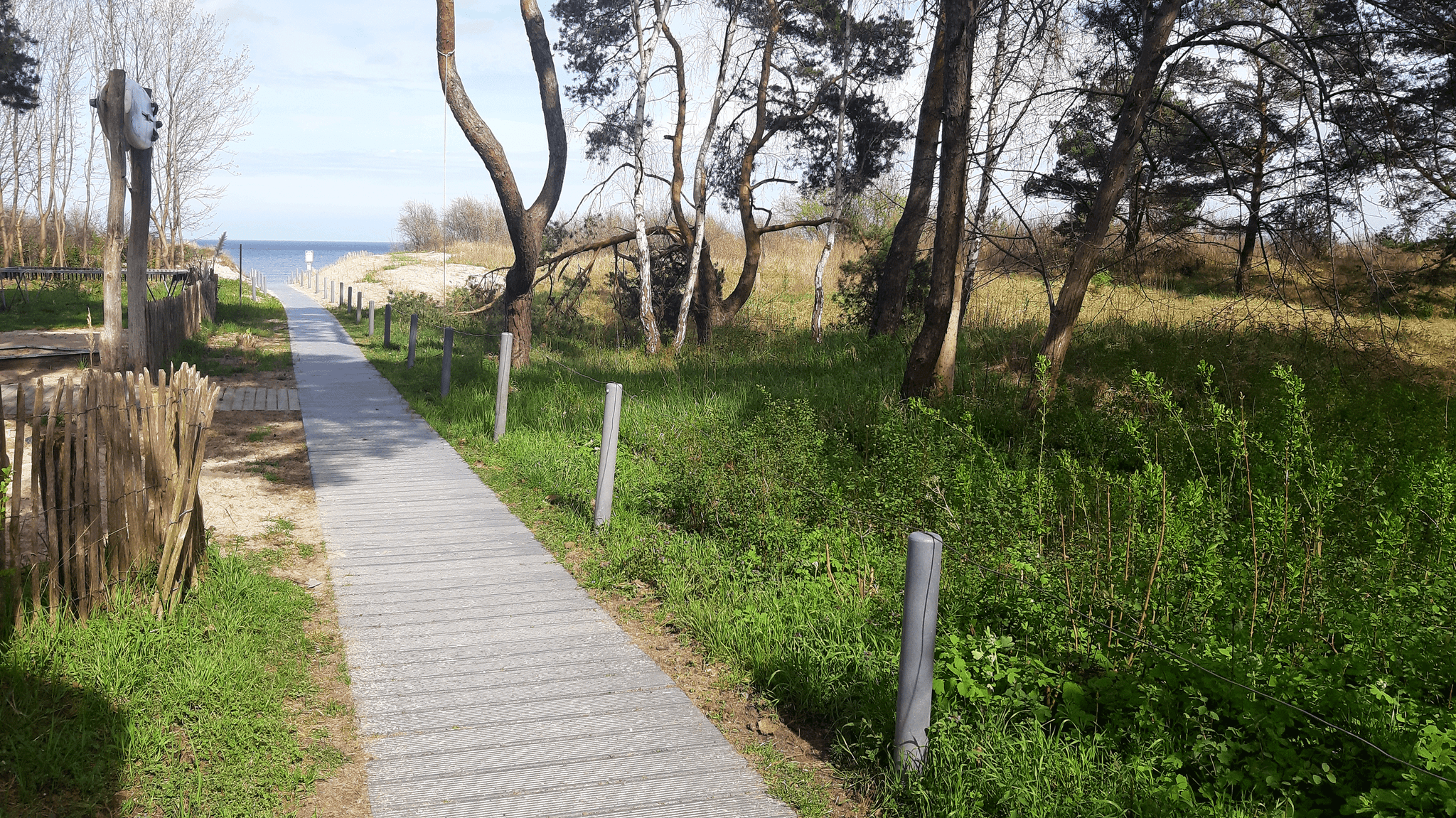 befestigter Holzweg führt zwischen Bäumen zum Strand