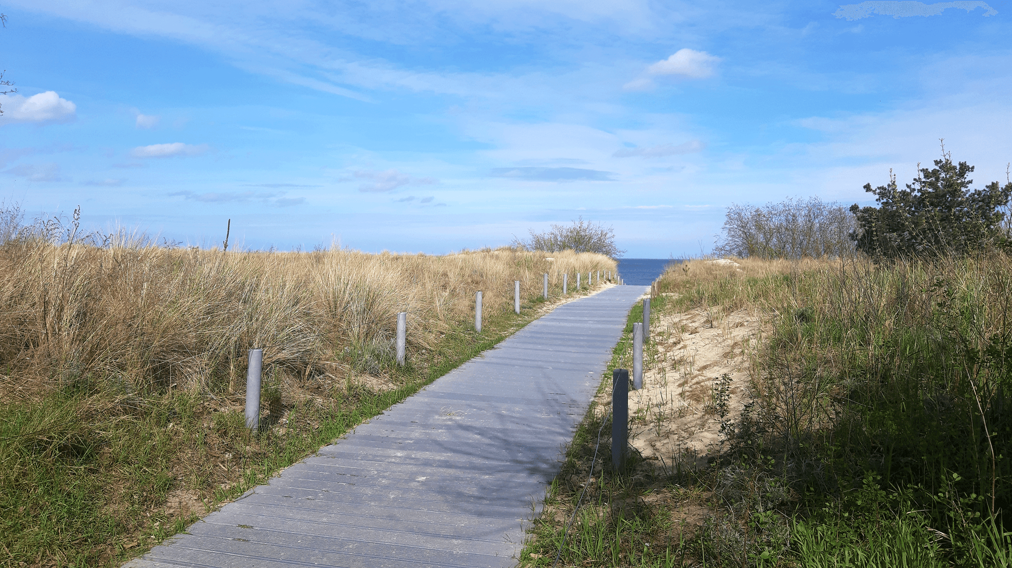 Befestigter Holzweg führt über Düne zum Strand