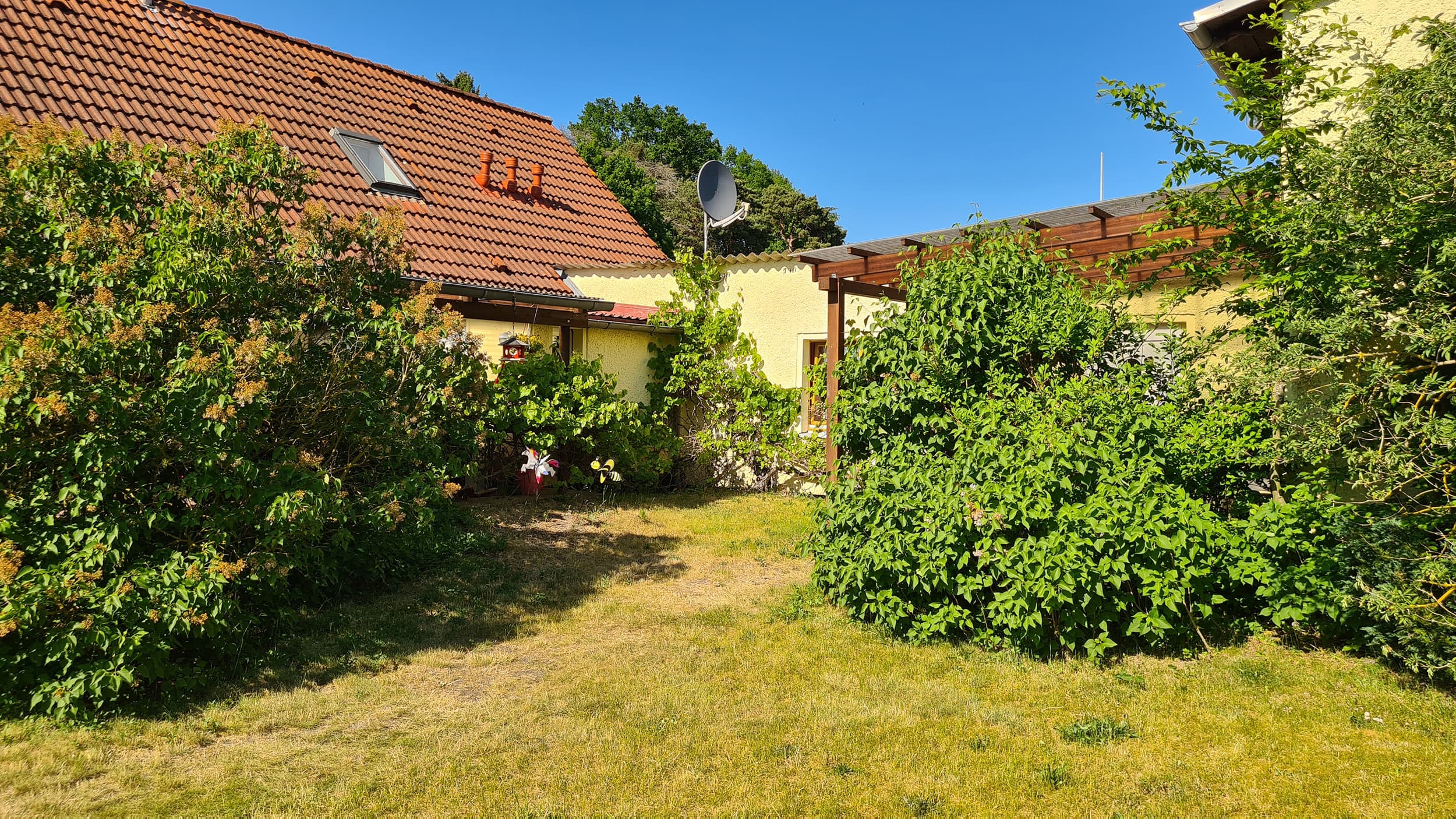 Ferienhaus Roggow Gartenansicht