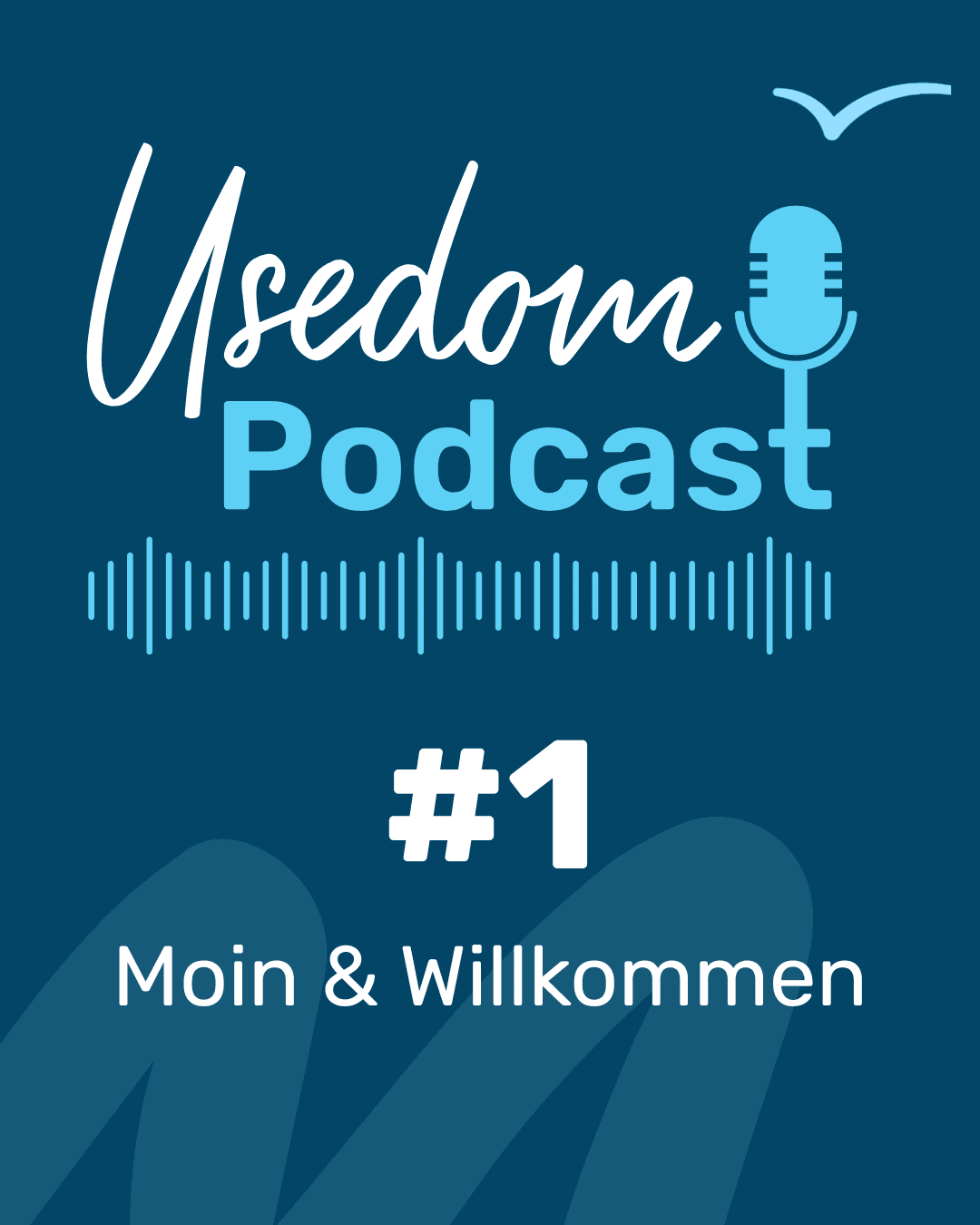 Coverbild der ersten Folge des Usedom Podcast