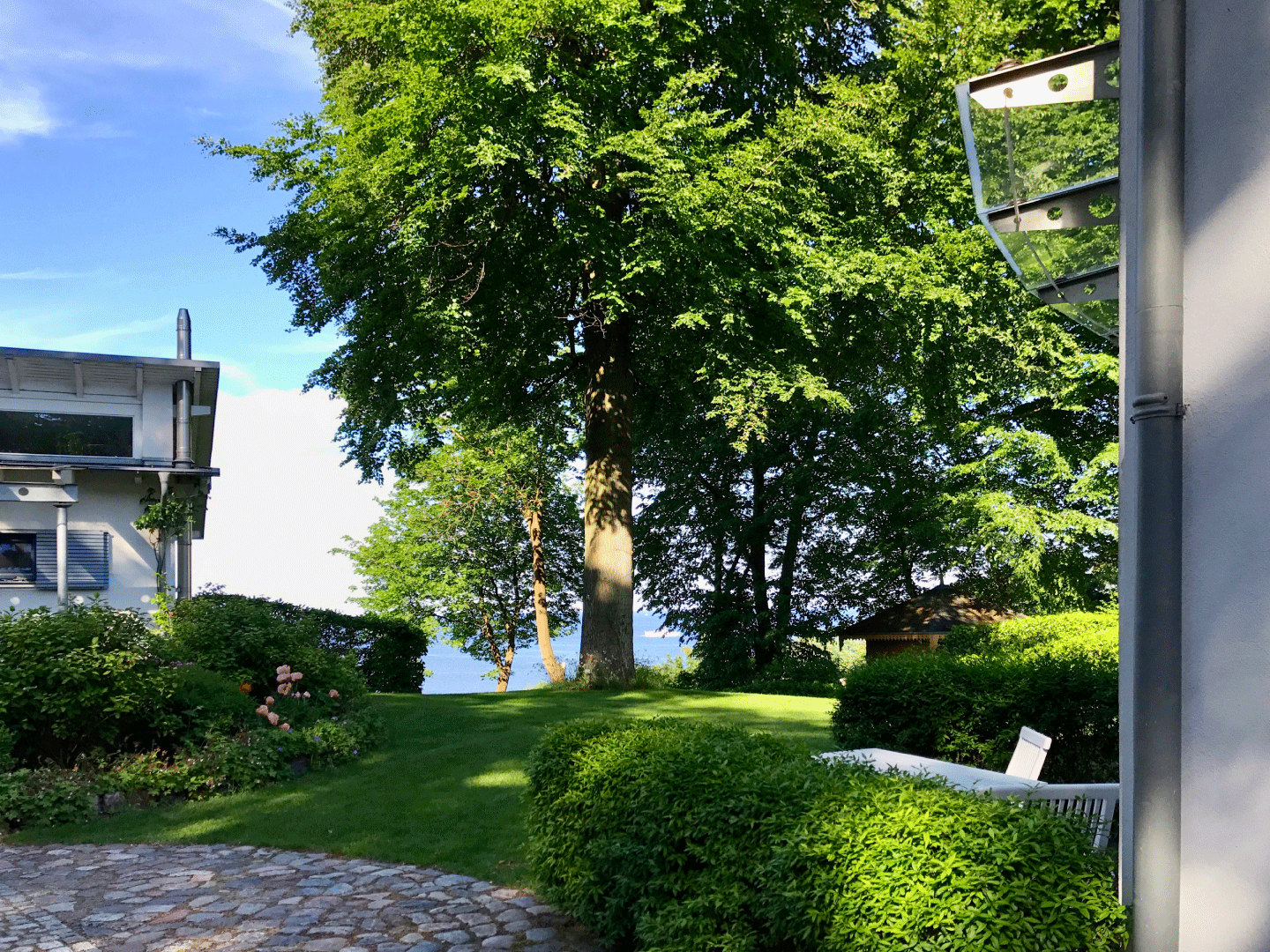 Ausblick von der Terrasse mit grünen Bäumen und blauem Himmel