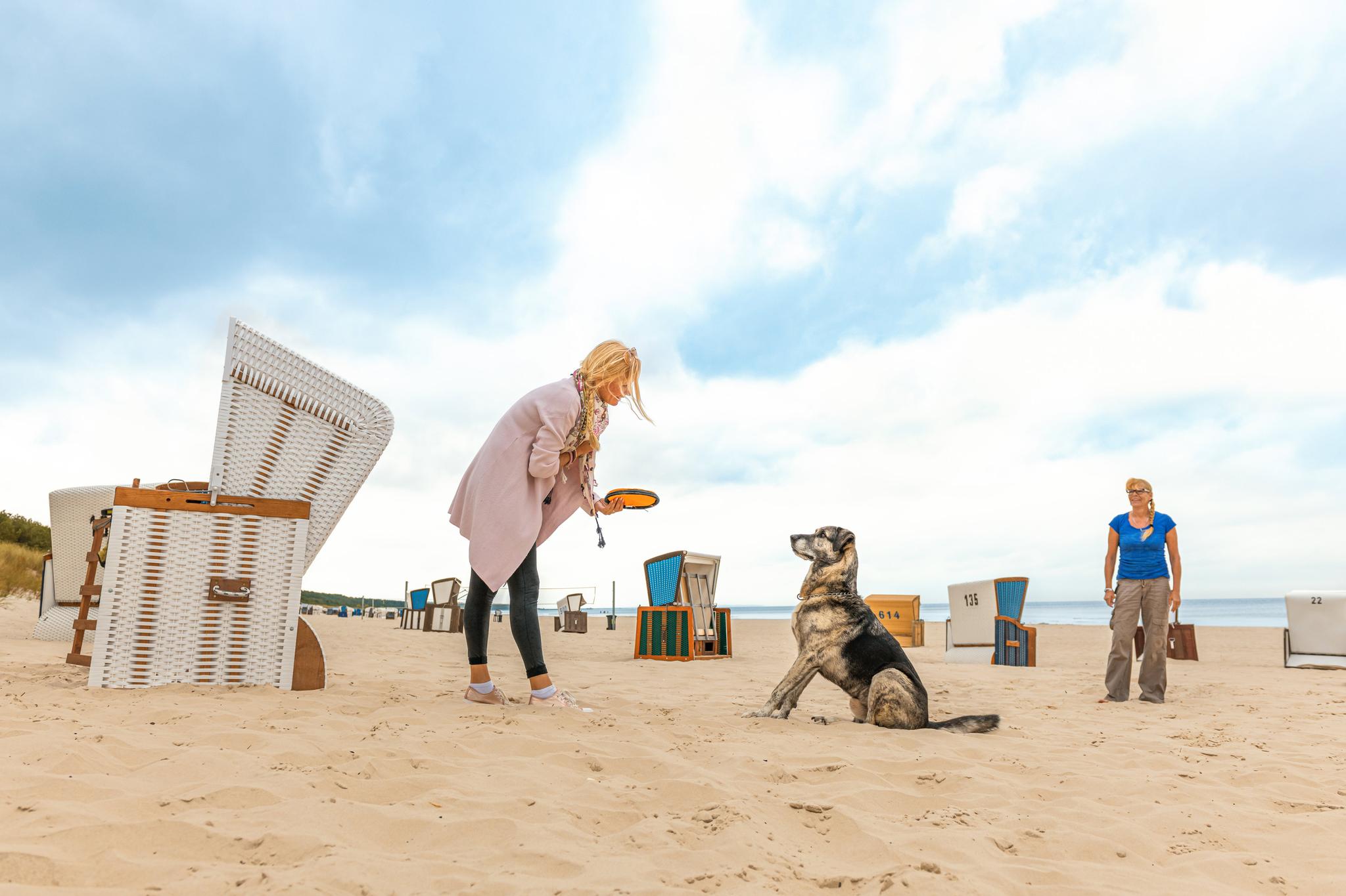 Frau spielt mit Hund am Strand 
