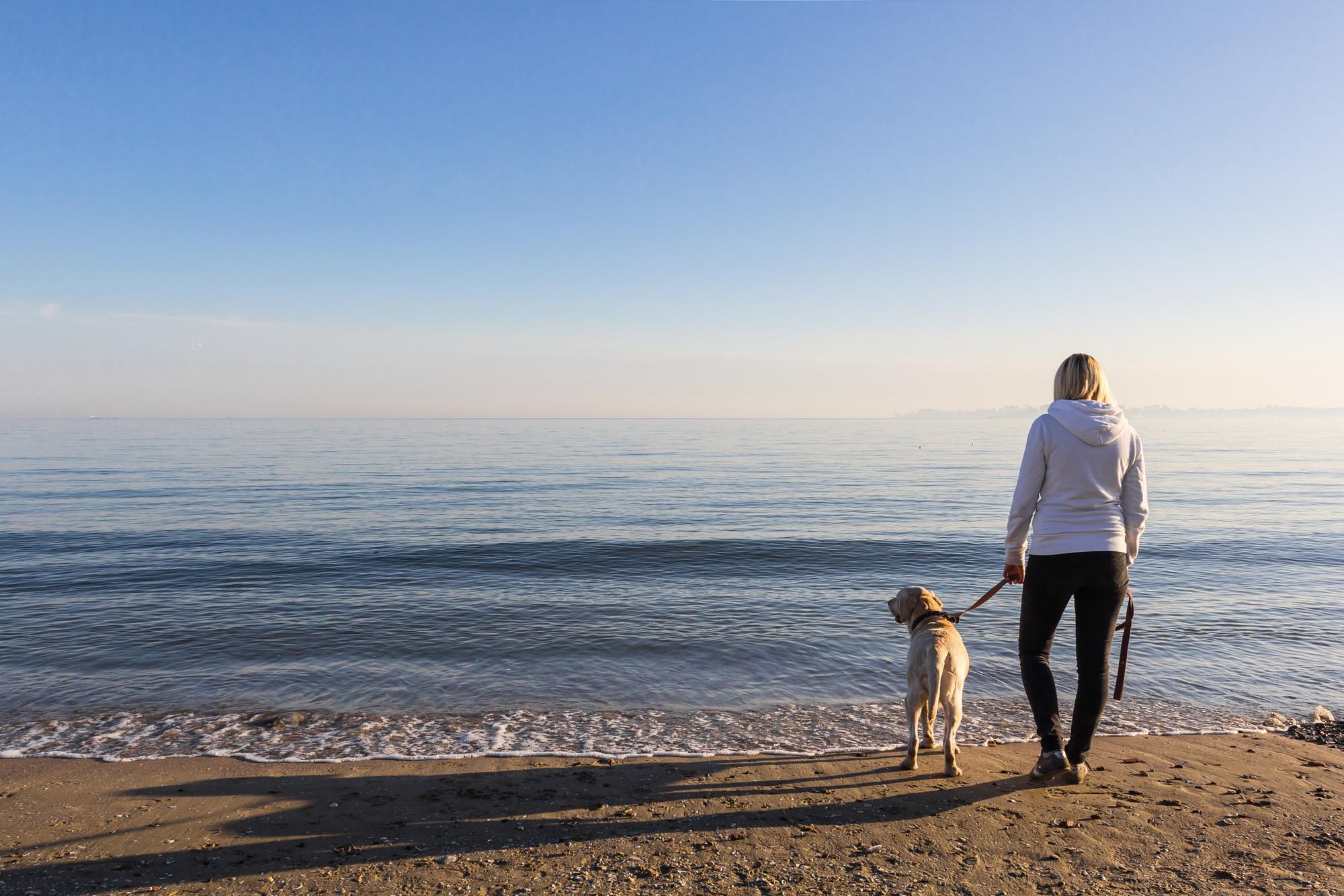 Frau steht mit Hund an der Leine am Strand