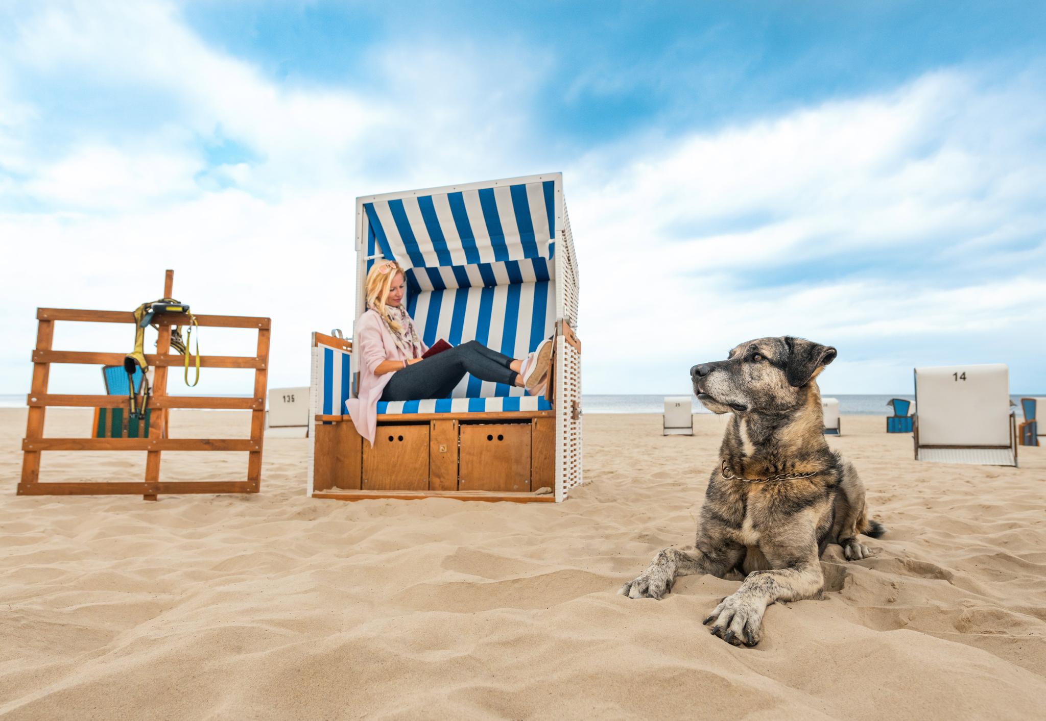 Hund vor einem Strandkorb