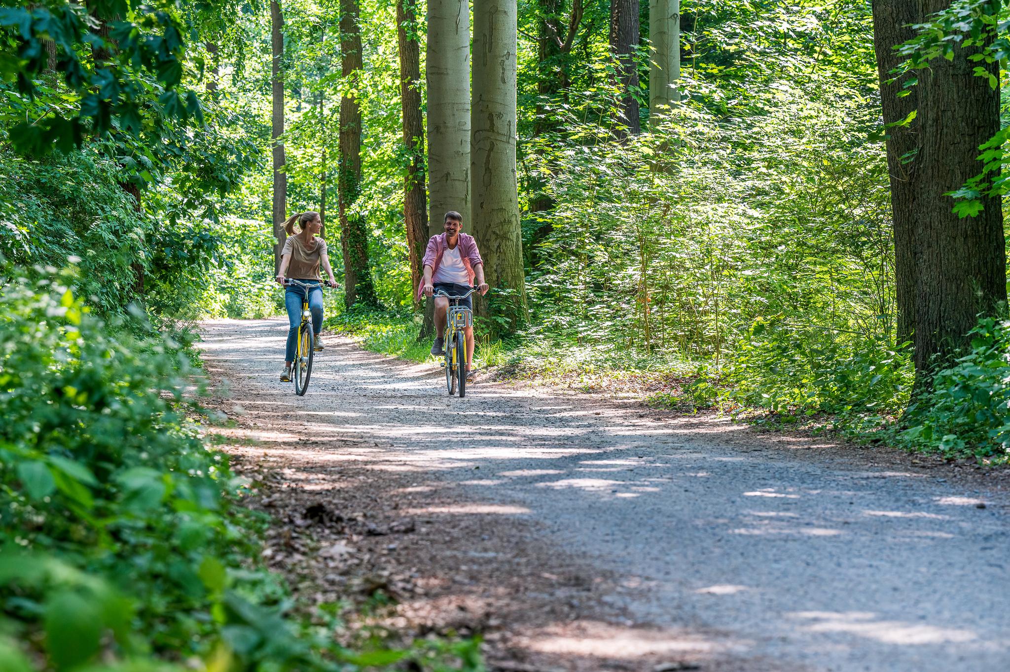 Pärchen beim Fahrradfahren im Wald