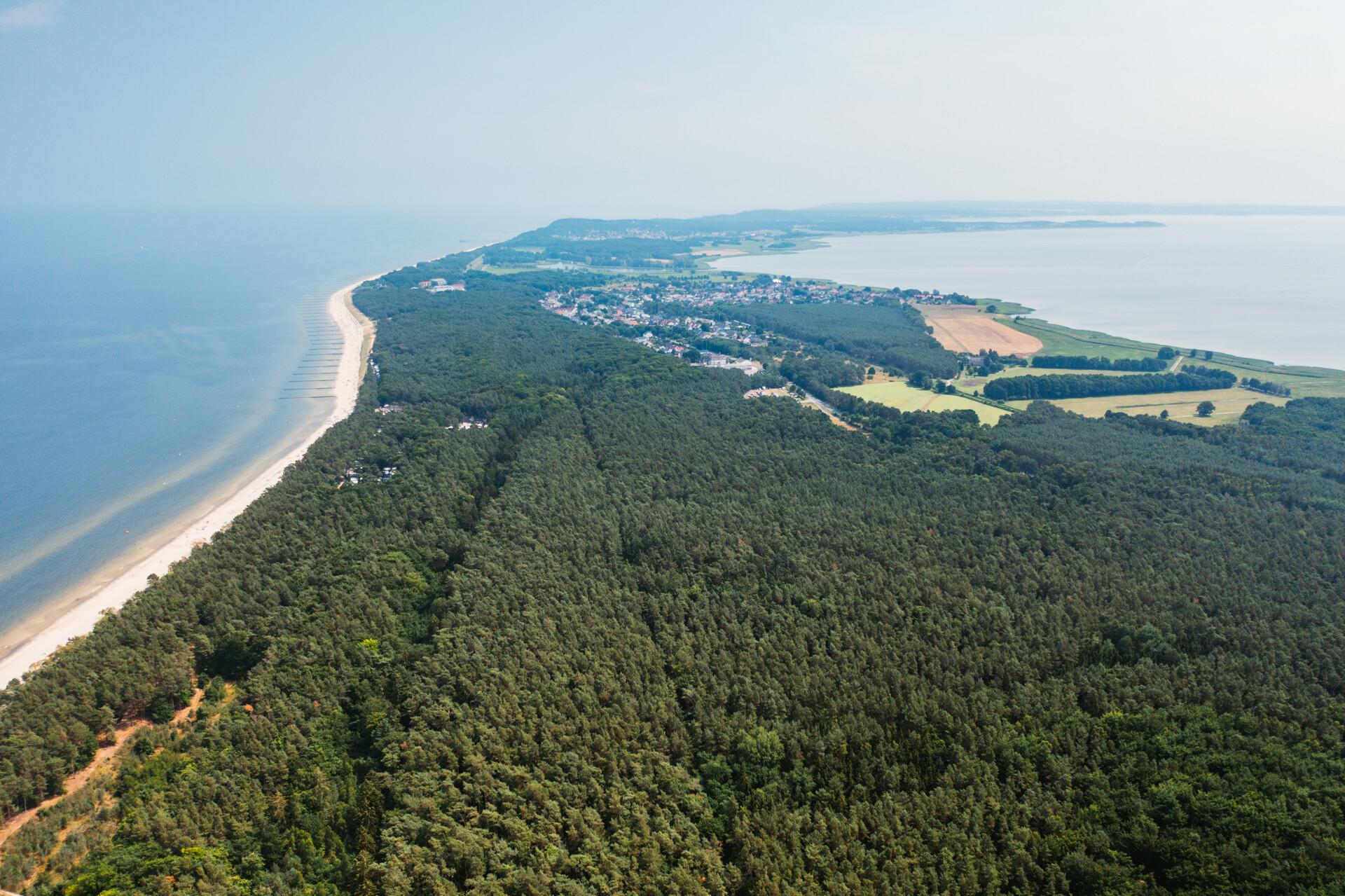 Luftaufnahme Strand und Küstenwald in Zinnowitz