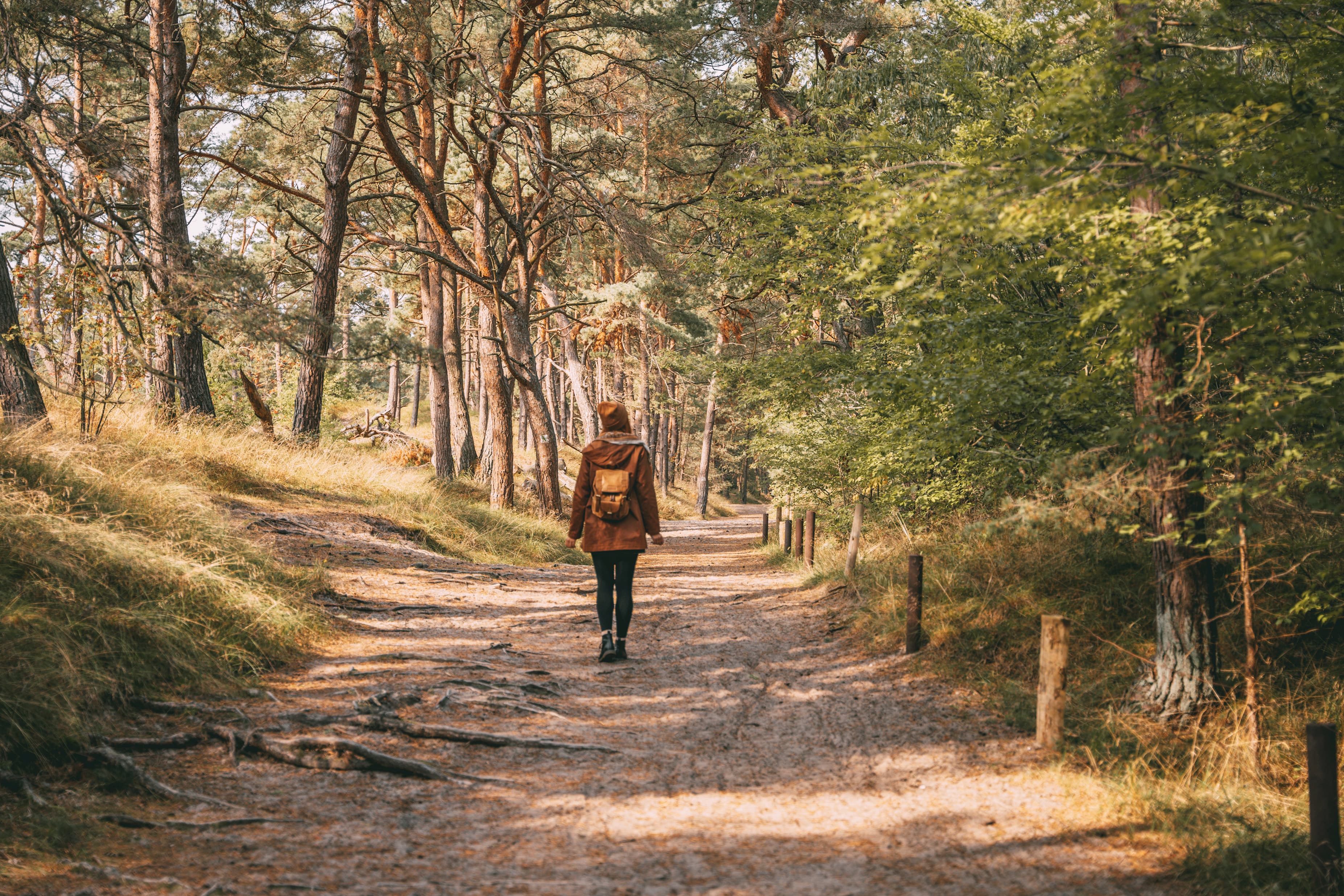 Eine Frau wandert durch den Küstenwald.