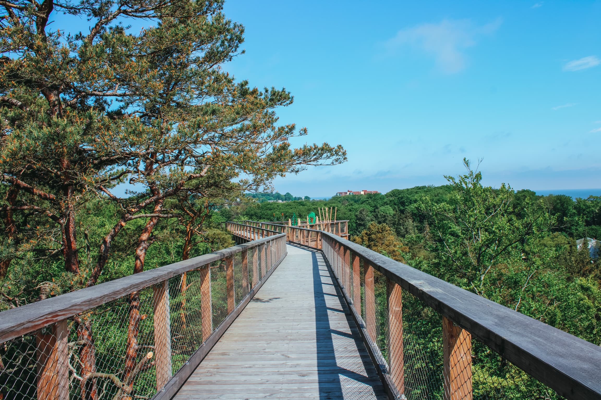 Baumwipfelpfad Usedom