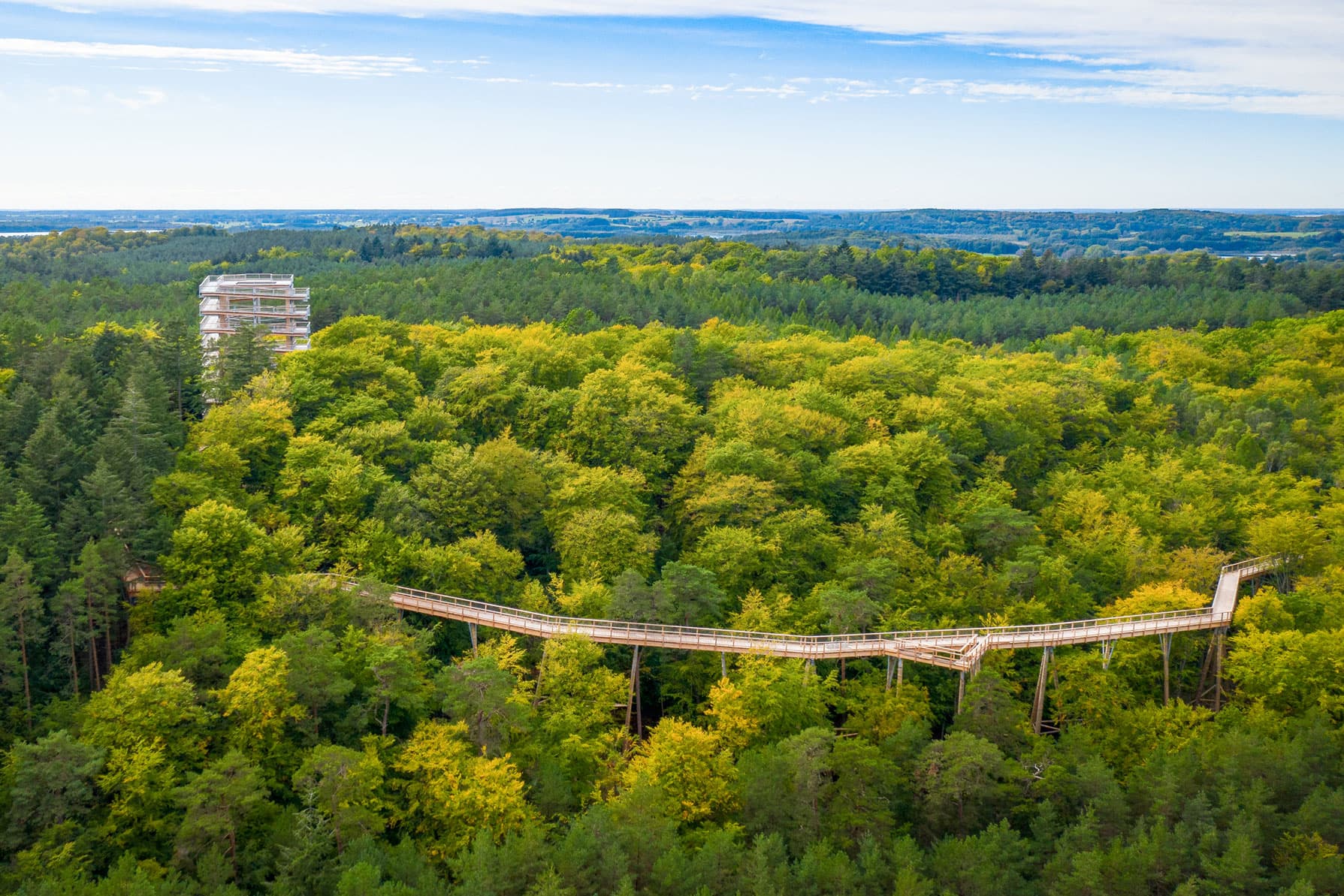 Luftaufnahme vom Baumwipfelpfad im grünen Küstenwald