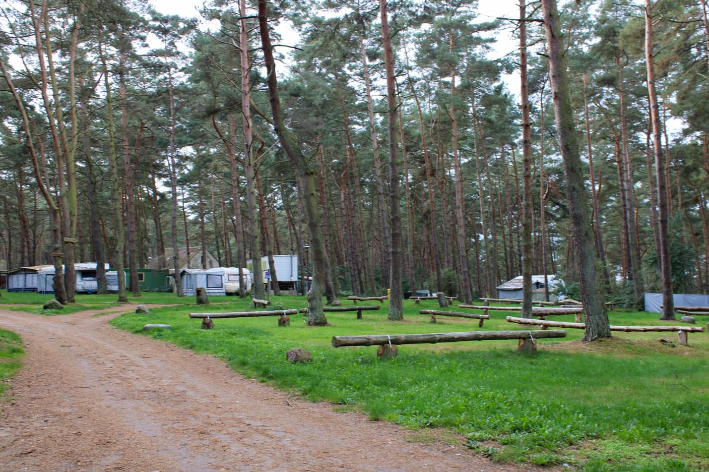 Campingplatz im Wald