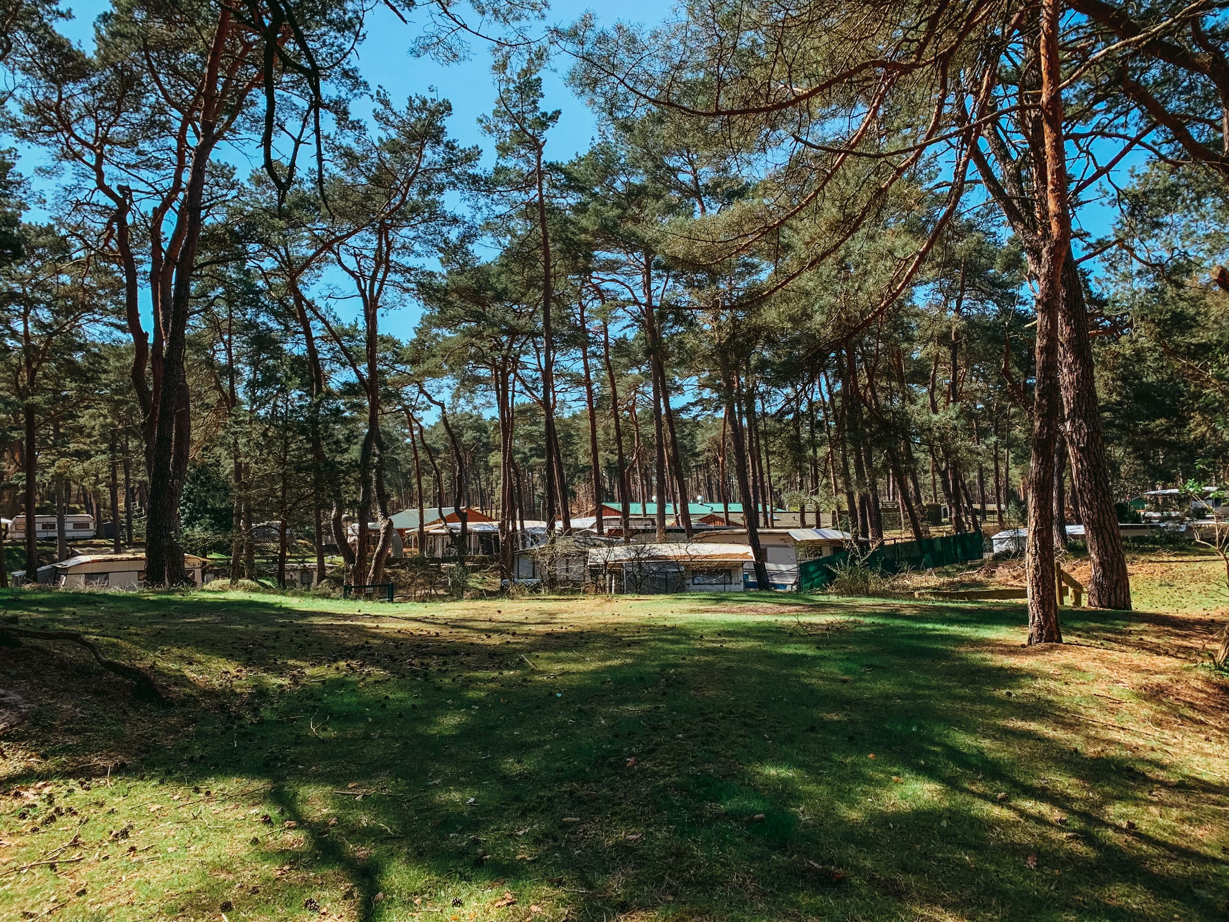 Campingplatz im Küstenwald