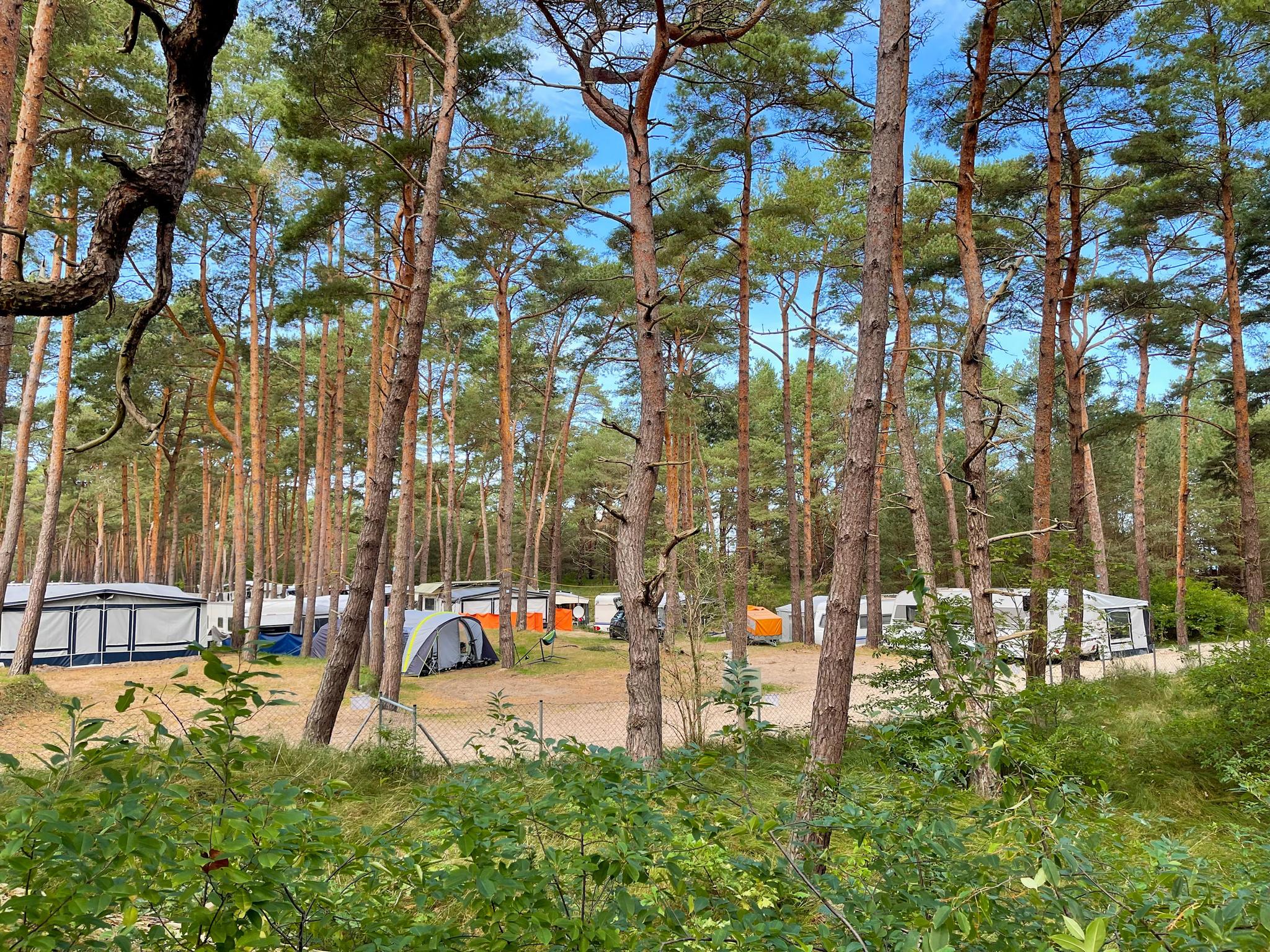 Campingplatz im Küstenwald