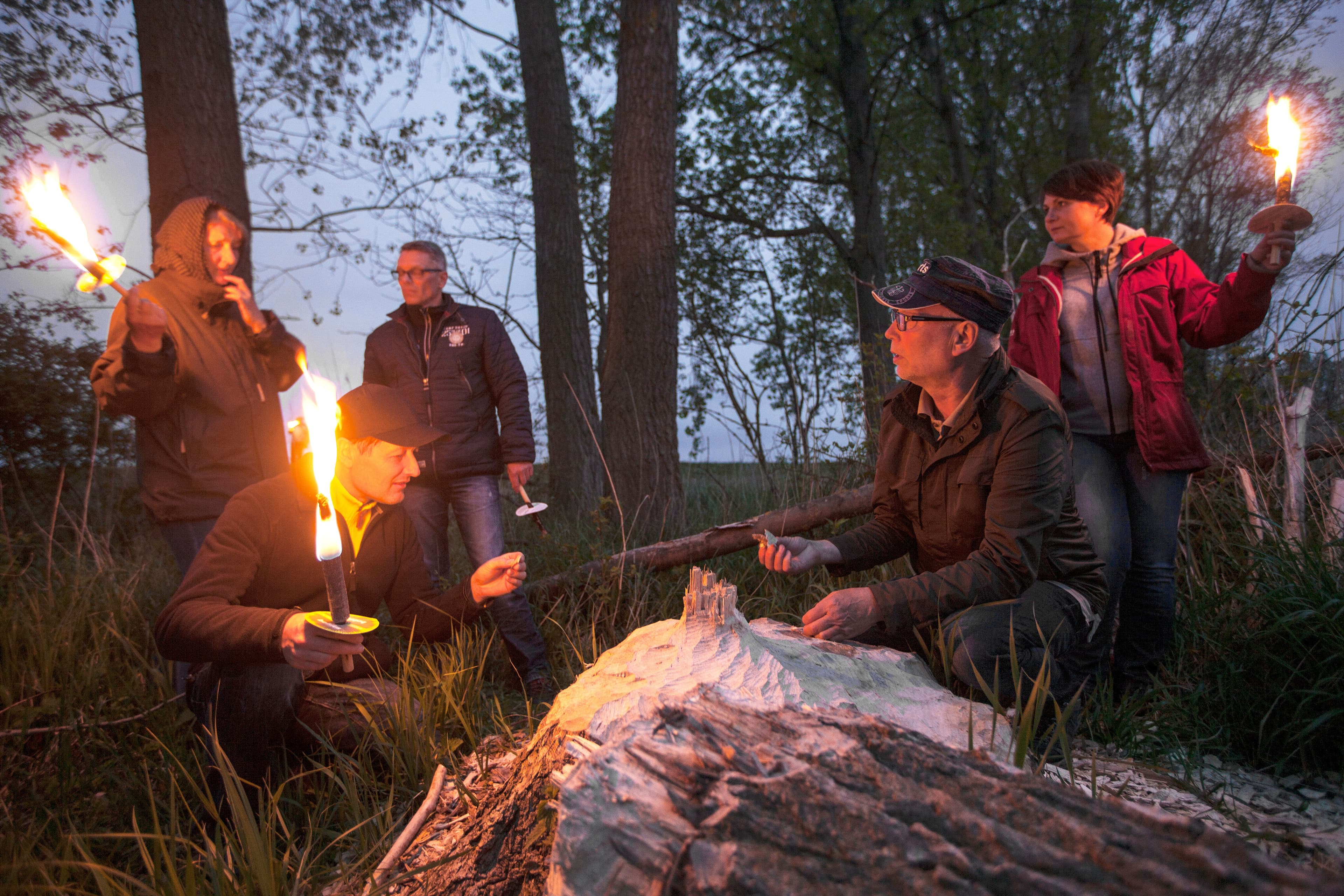 Gruppe bei einer Fackelwanderung im Wald