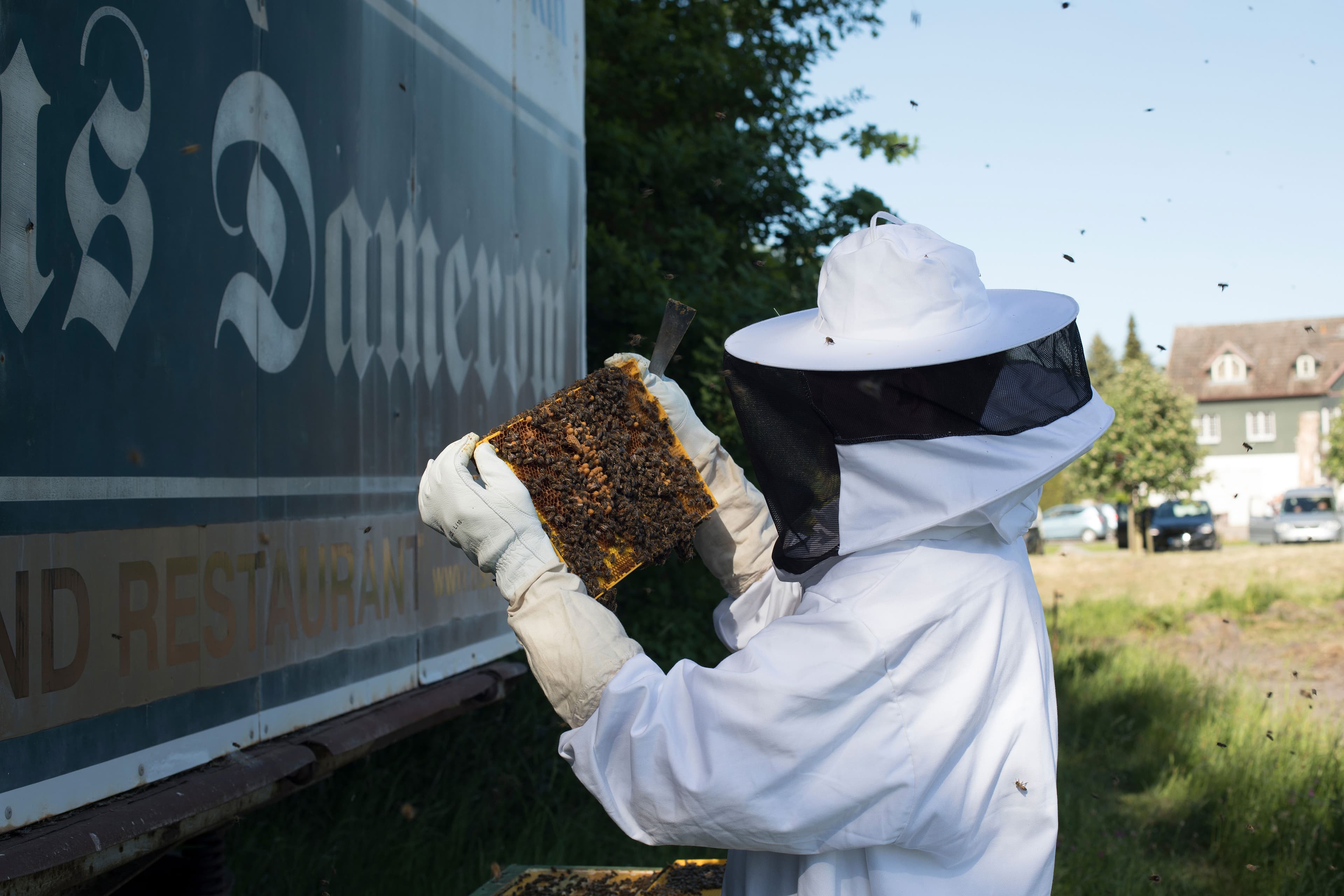 Imker an einem Bienenstock