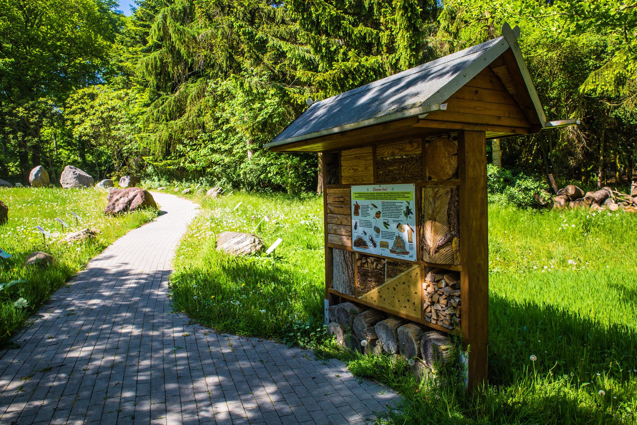 Der Gesteingarten mit Lehrtafeln am Forstamt Neu Pudagla auf der Insel Usedom