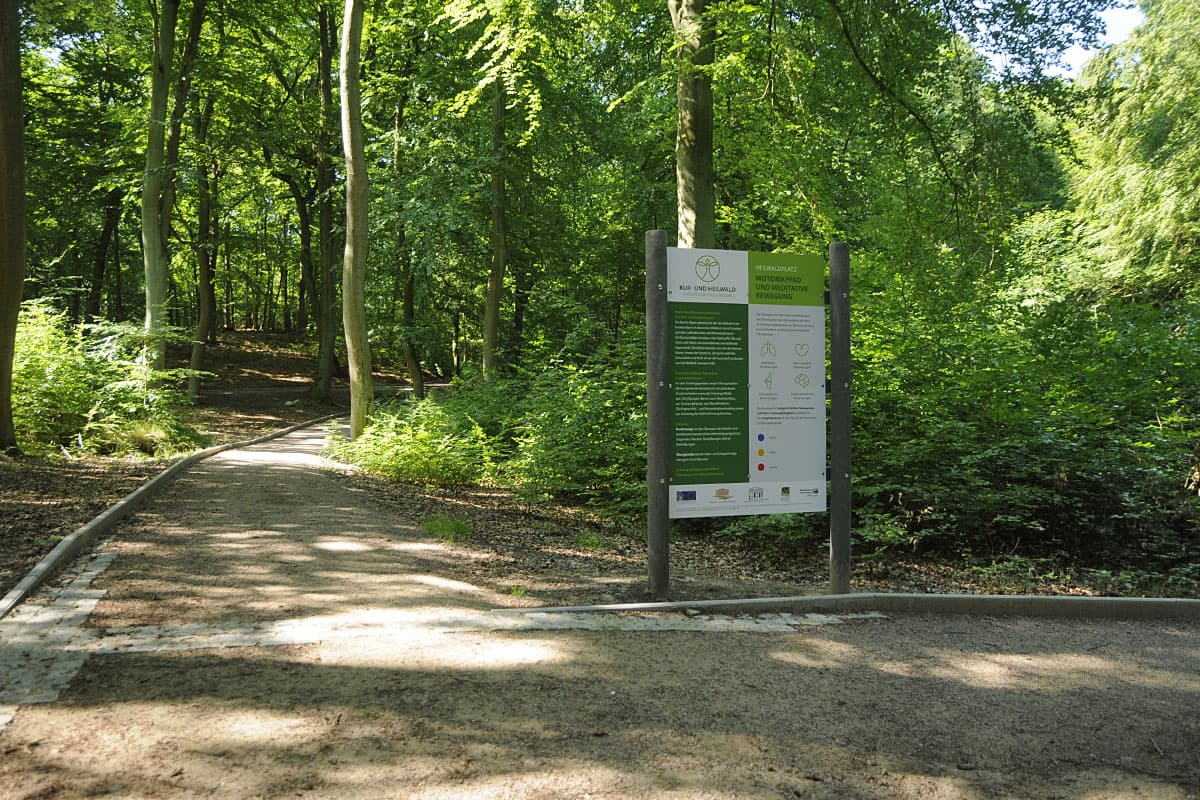 Infotafel im Wald