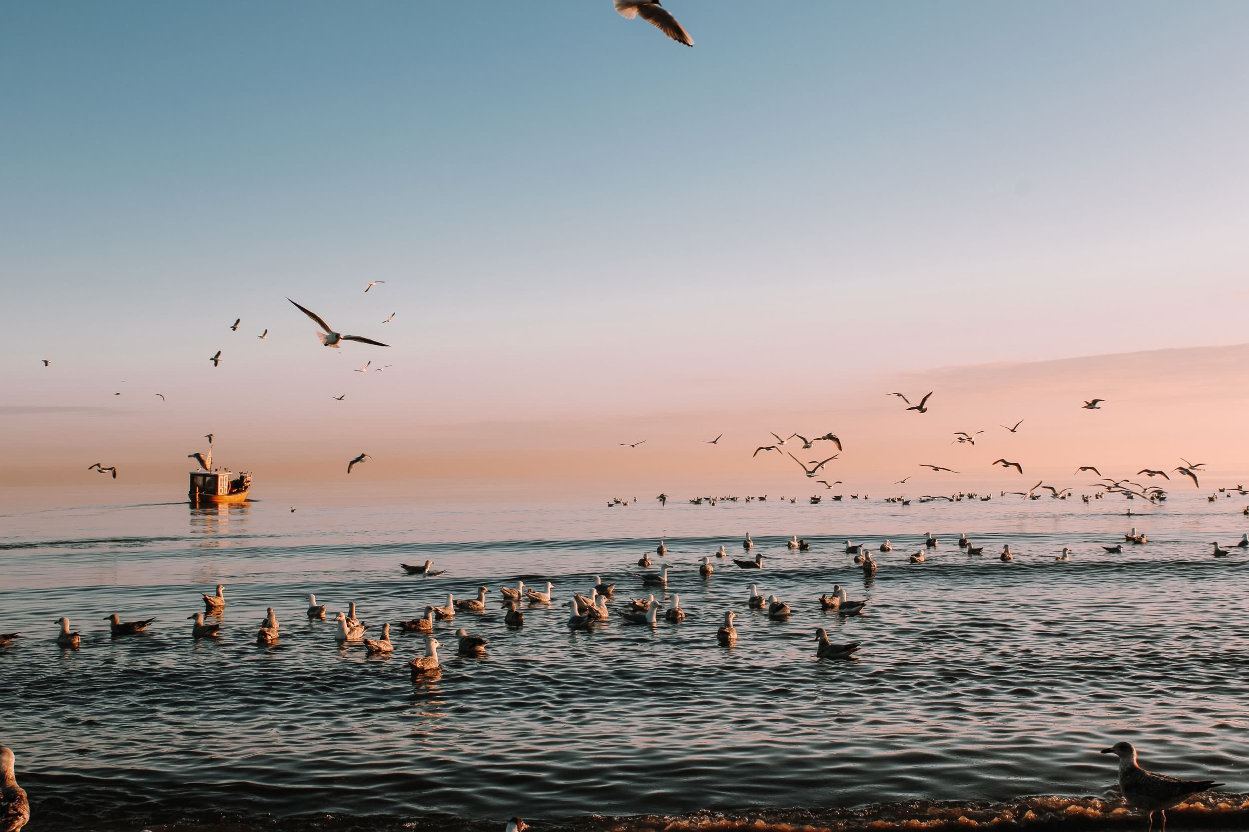 Fischerboot auf der Ostsee bei Sonnenaufgang