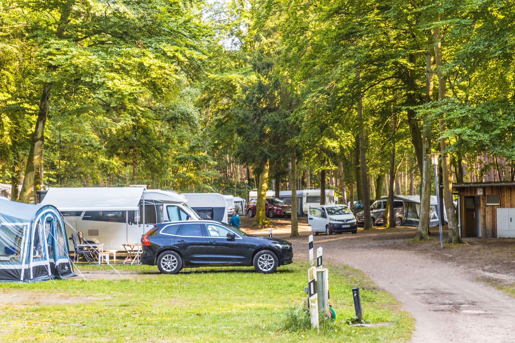 Zelte und Wohnmobile auf Campingplatz im Wald