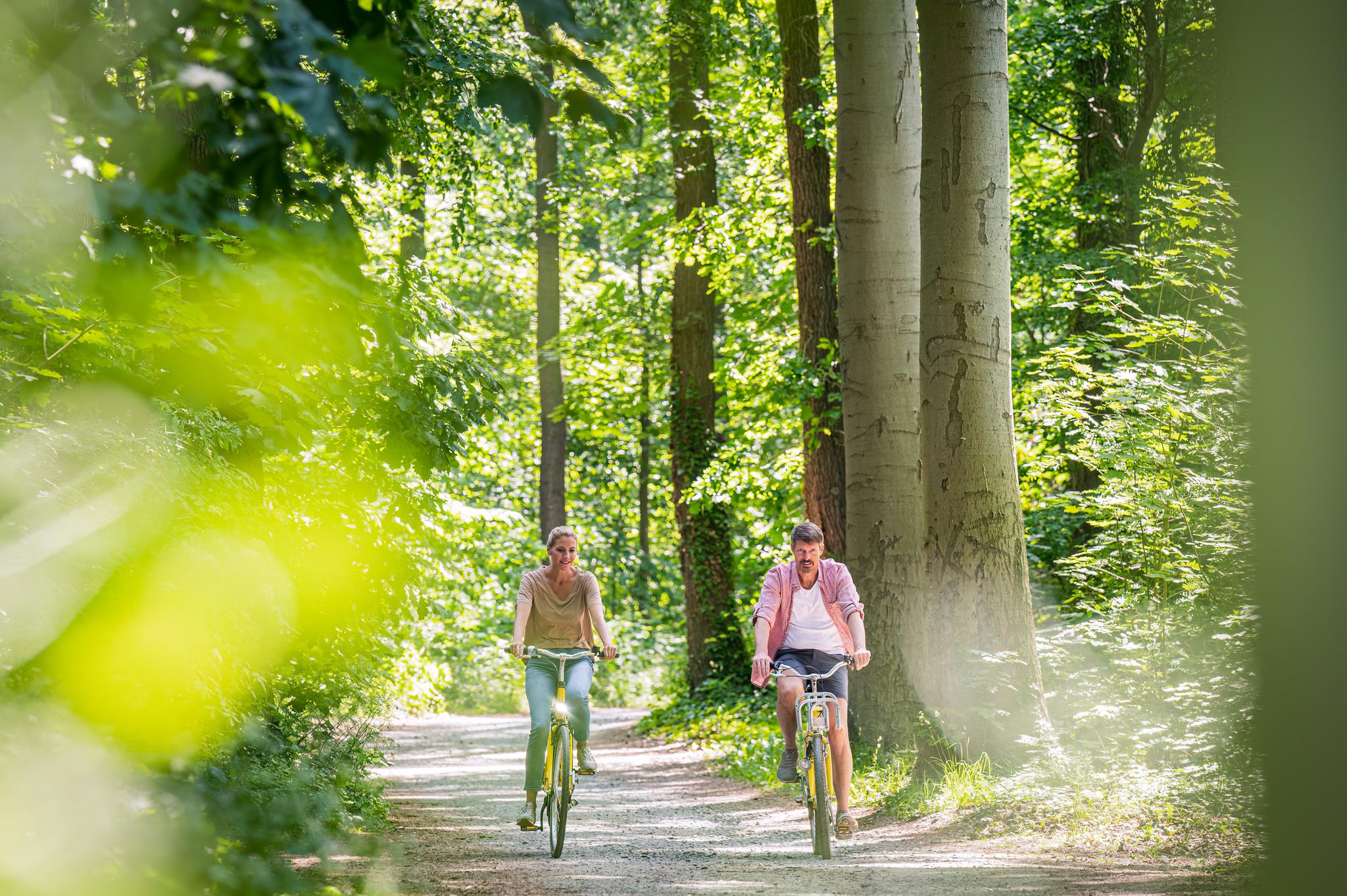 Zwei Radfahrer im Wald