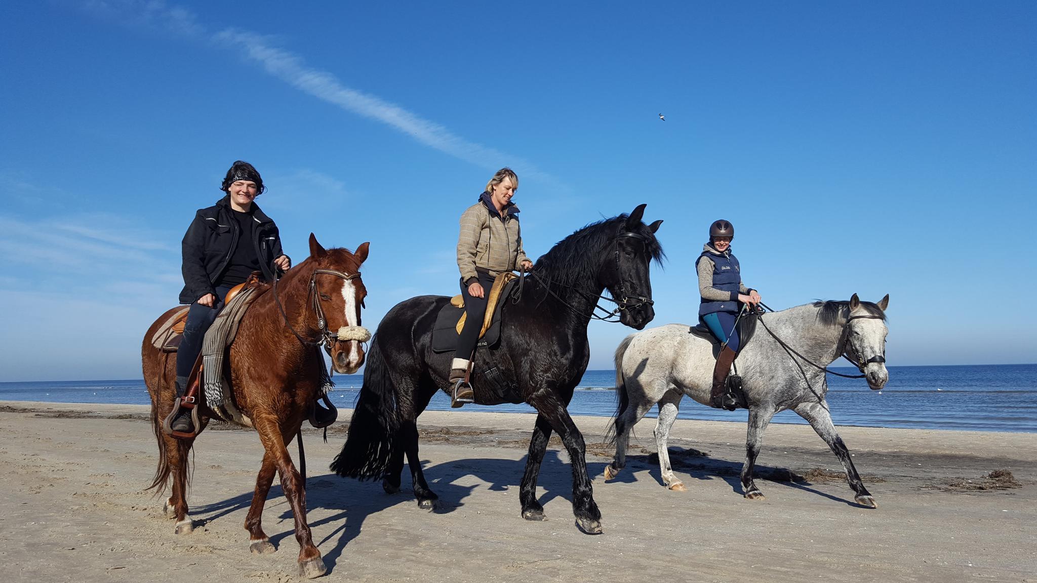 Reiter mit Pferden am Strand von Karlshagen. 