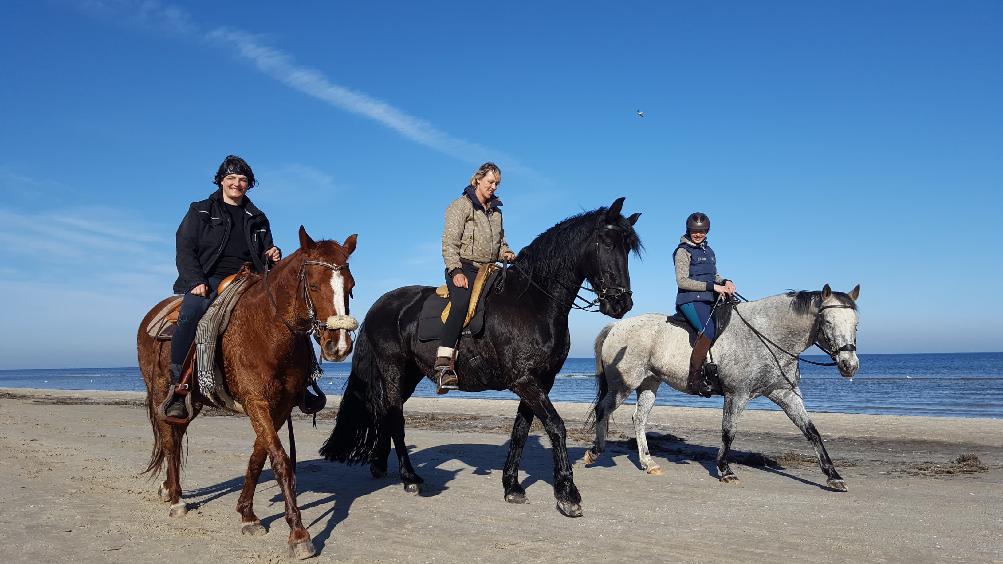 Reiter mit Pferden am Strand von Karlshagen.