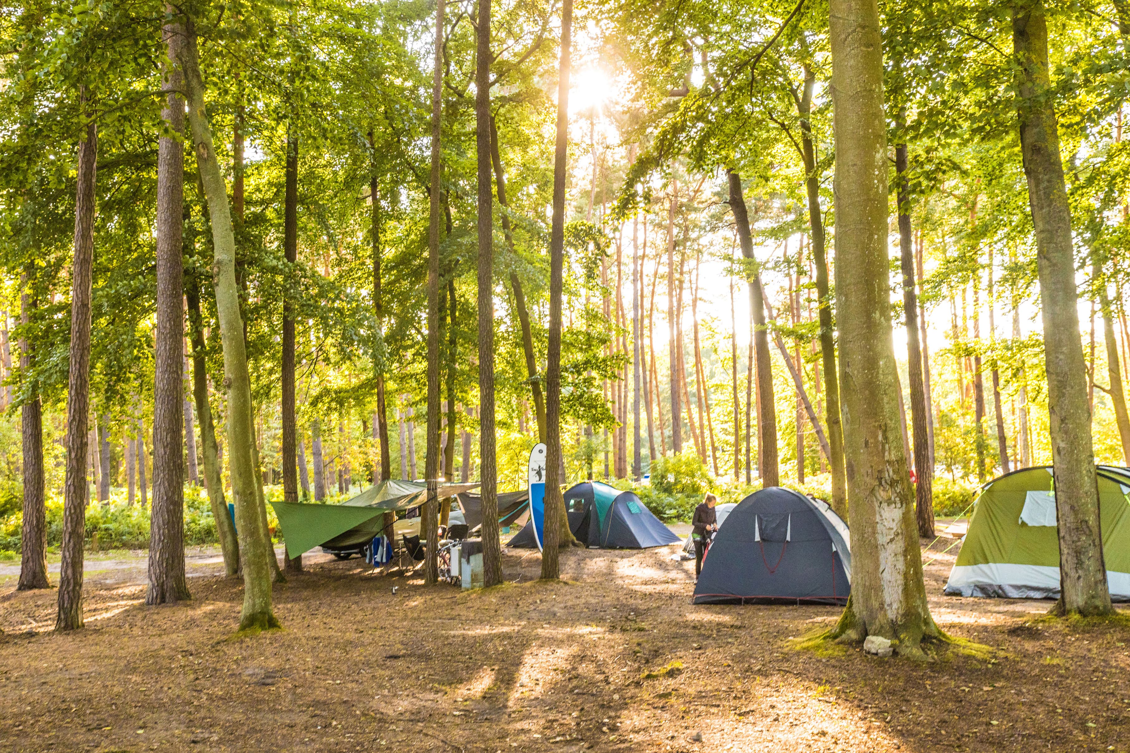 Zelte im Wald