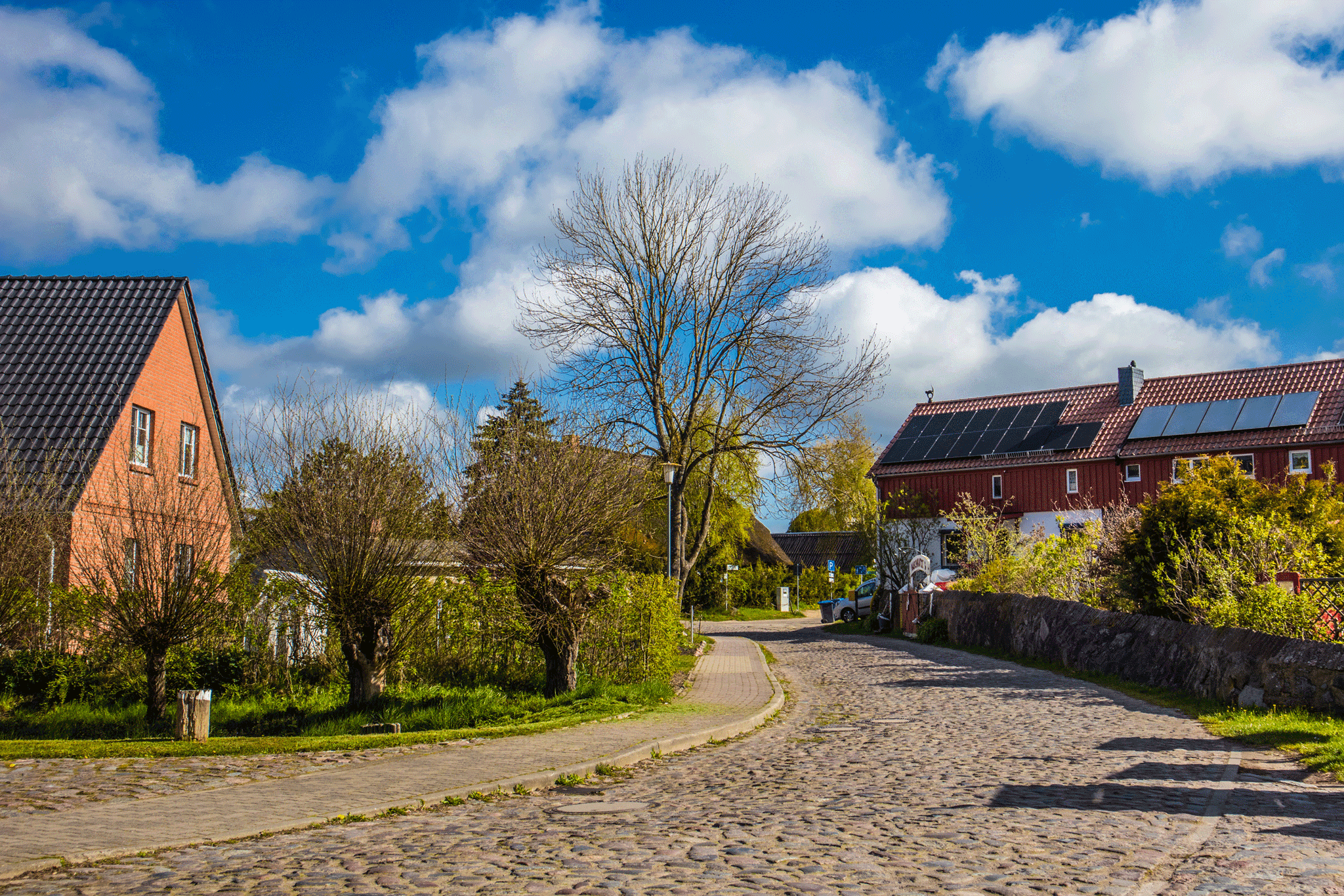 Das Bild zeigt die Dorfstraße im kleinen Ort Krummin auf der Insel Usedom.