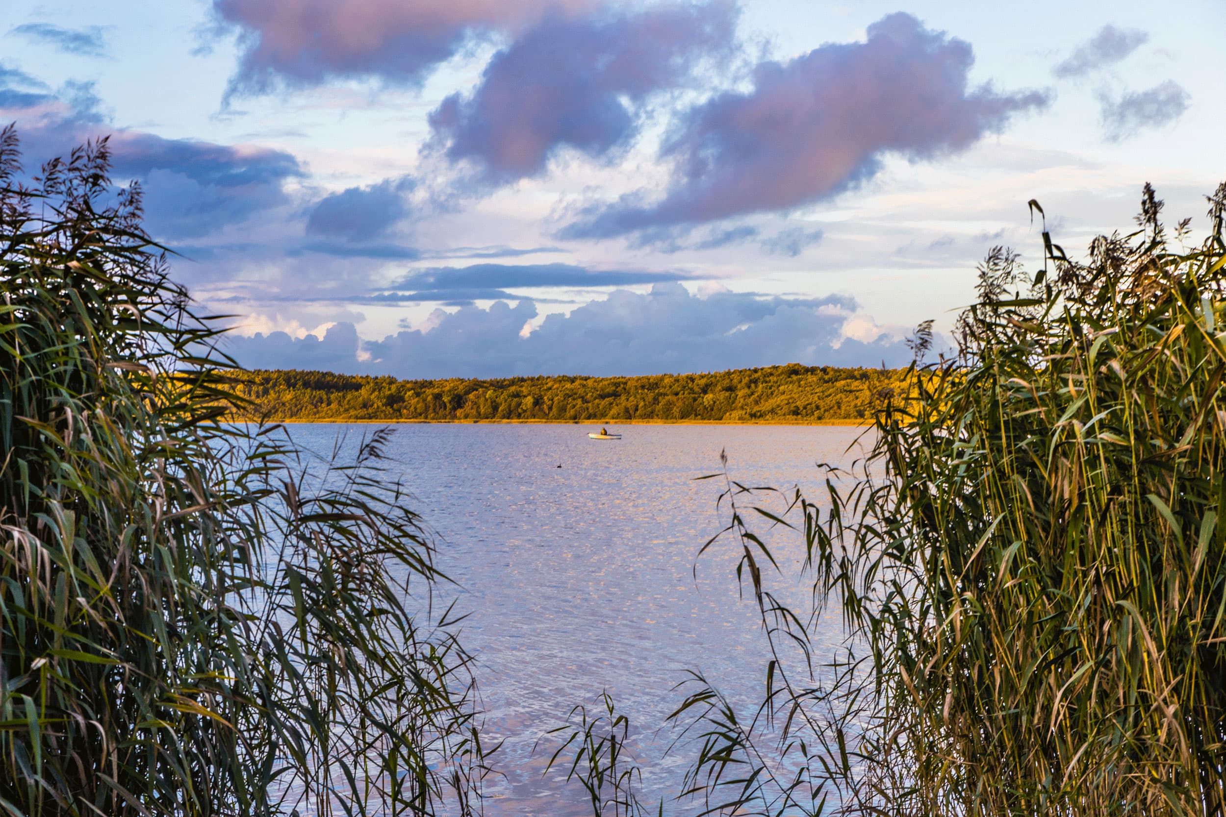Das Bild zeigt den Blick auf ein Fischerboot auf dem Selliner See im Thurbruch auf Usedom.