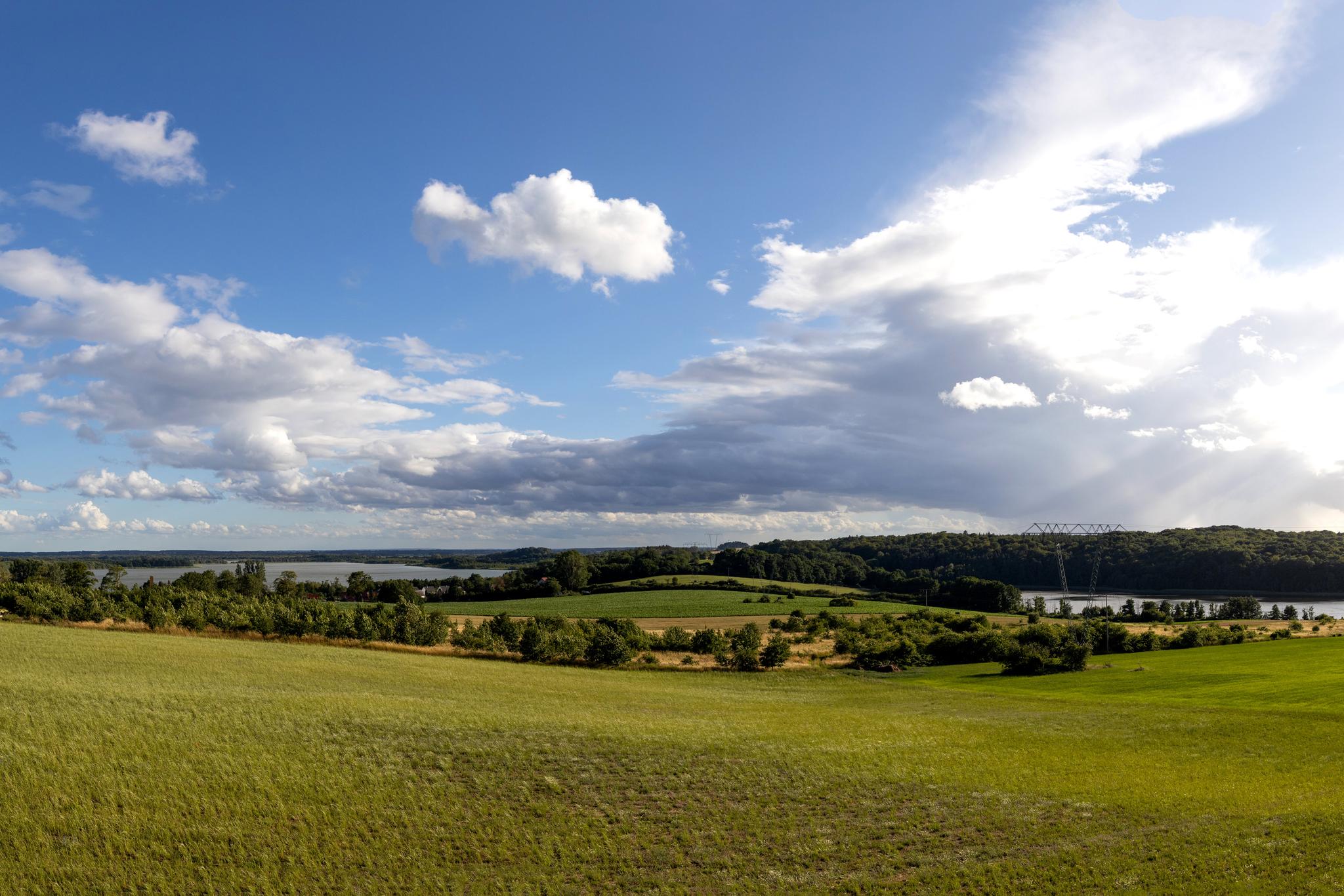 Das Bild zeigt die weite Landschaft des Thurbruch auf der Insel Usedom.