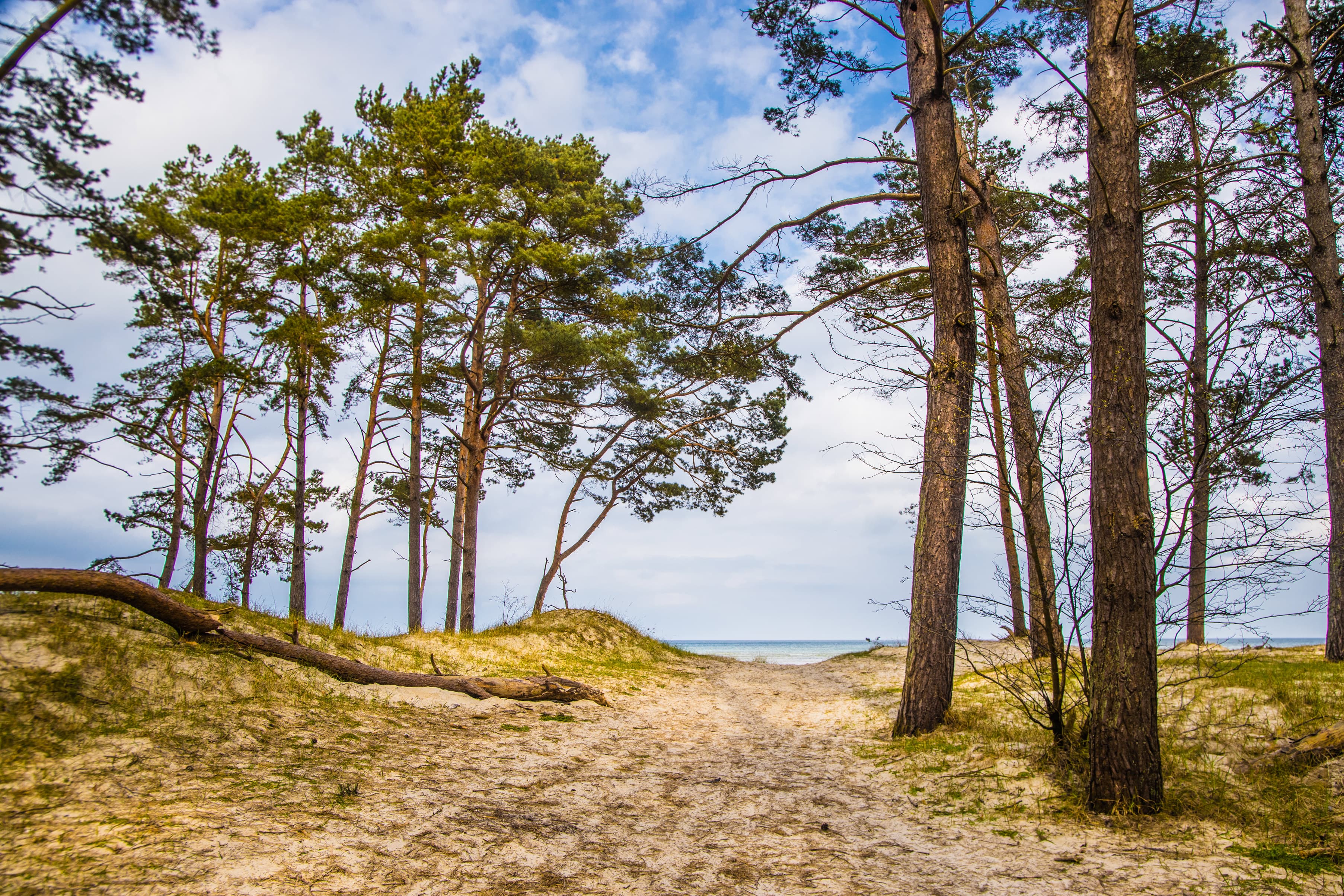 Das Bild zeigt einen Strandaufgang in Peenmünde.