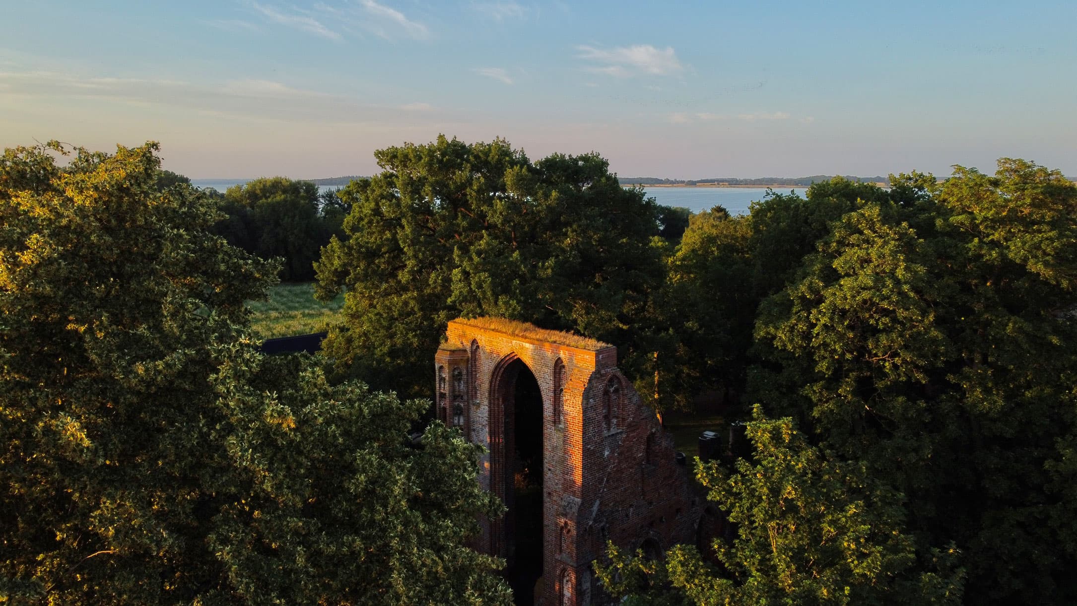 Mauern der Klosterruine Eldena zwischen dicht bewachsenen Bäumen
