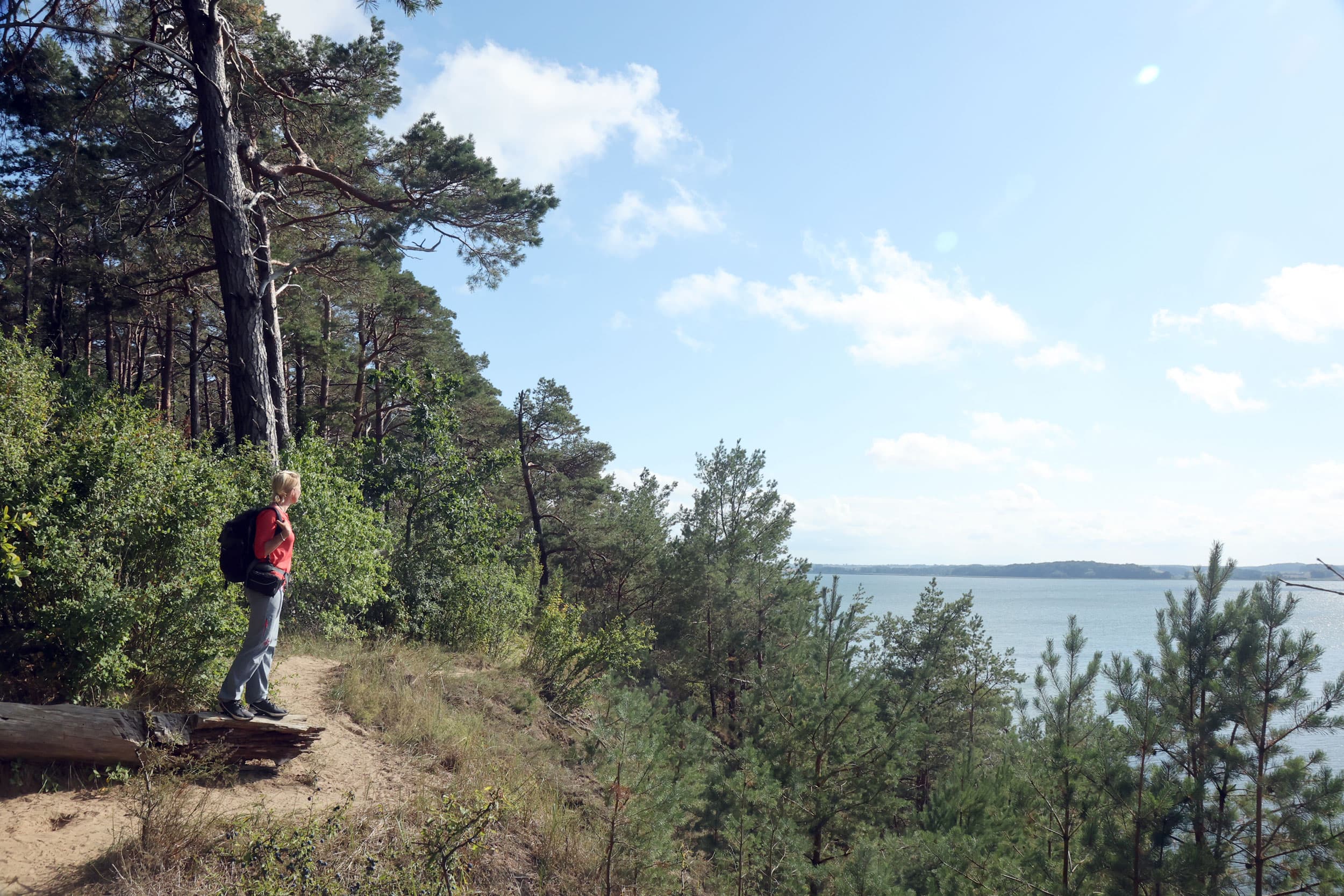 Frau steht auf einer Anhöhe im Küstenwald und blickt auf das Achterwasser.
